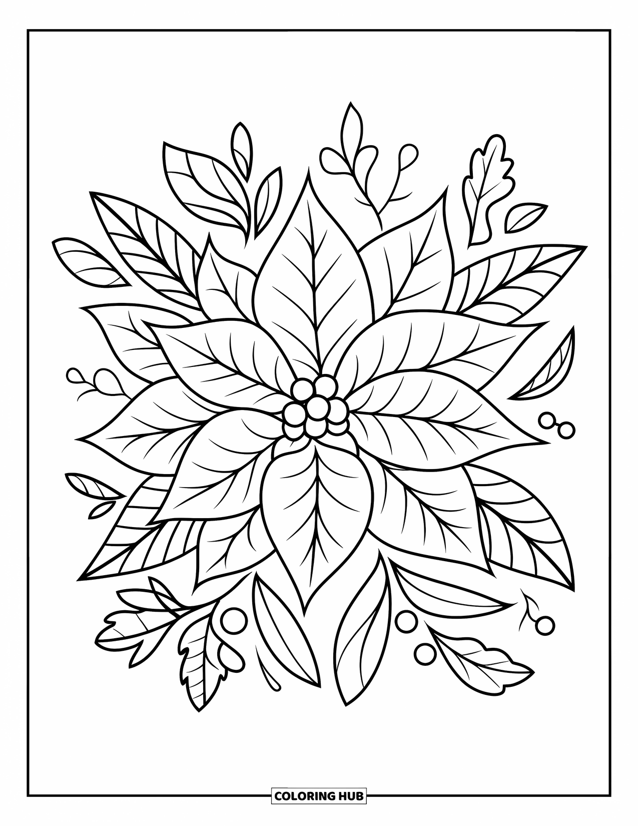 Winter Kleurplaat voor Kinderen: Een vrolijke kerststerbloem met gedurfde contouren en eenvoudig wintergroen