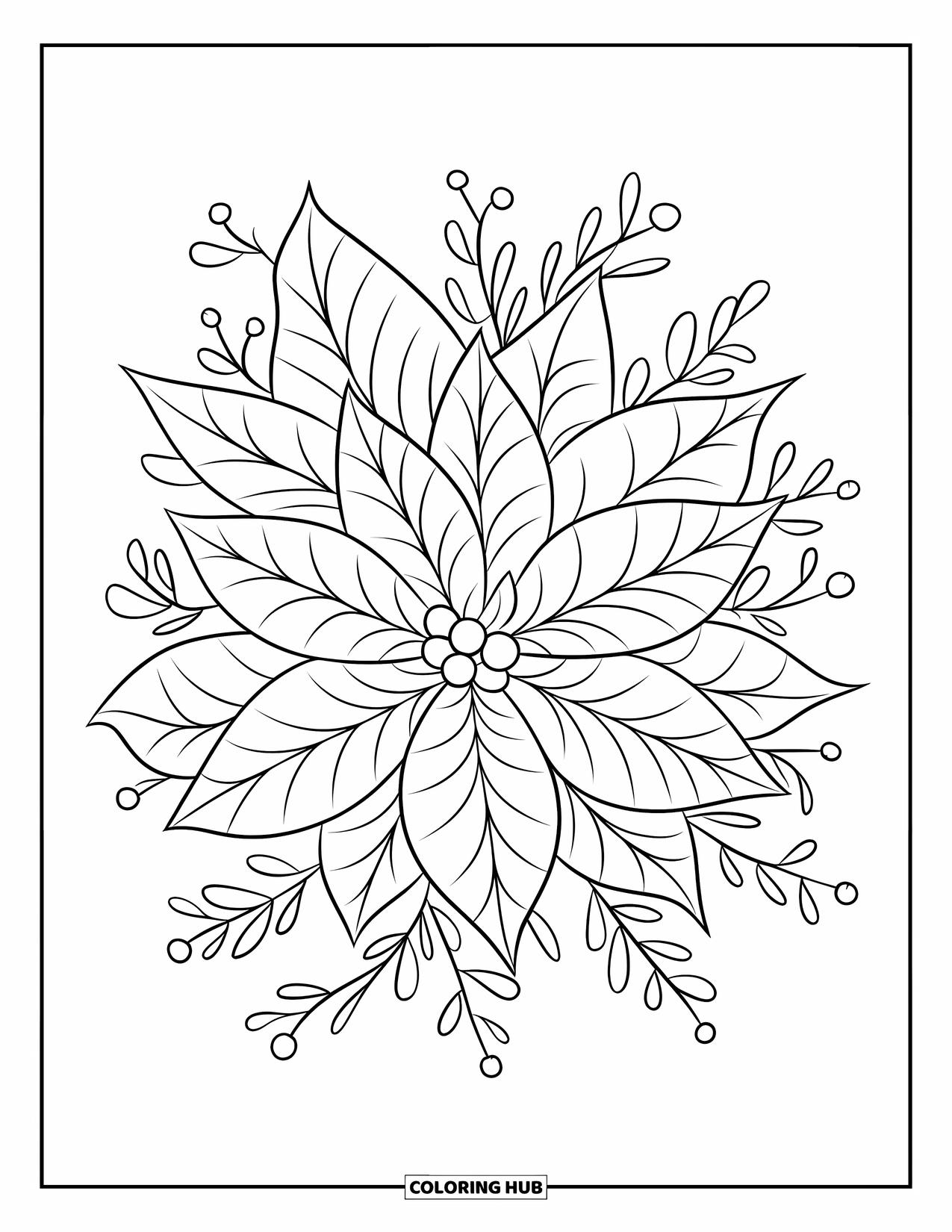 Winter Kleurplaat voor Kinderen: Een feestelijke kerststerbloem met delicate winterbladeren en bessen eromheen