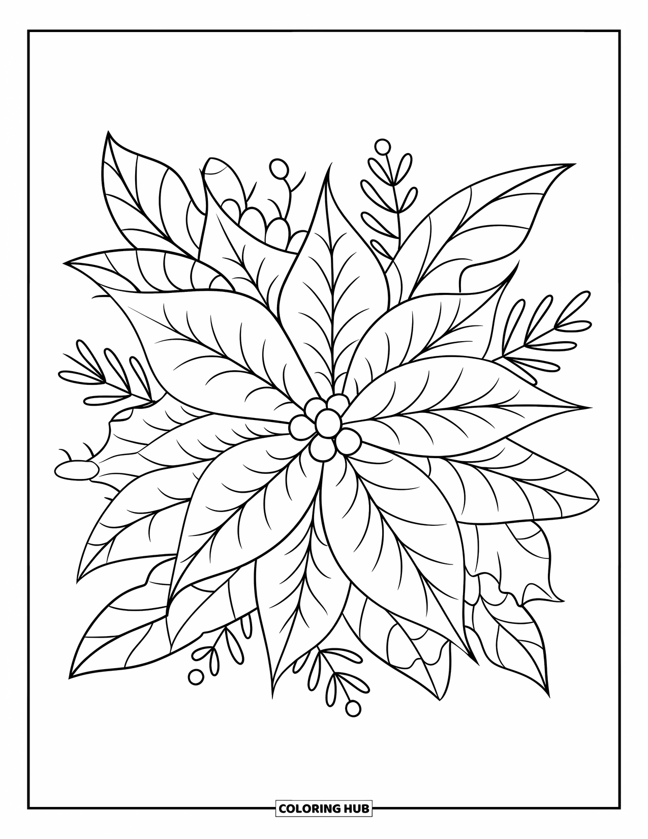 Winter Kleurplaat voor Kinderen: Een grote, gedetailleerde kerstster omringd door winterbladeren en bessen, met een speels ontwerp