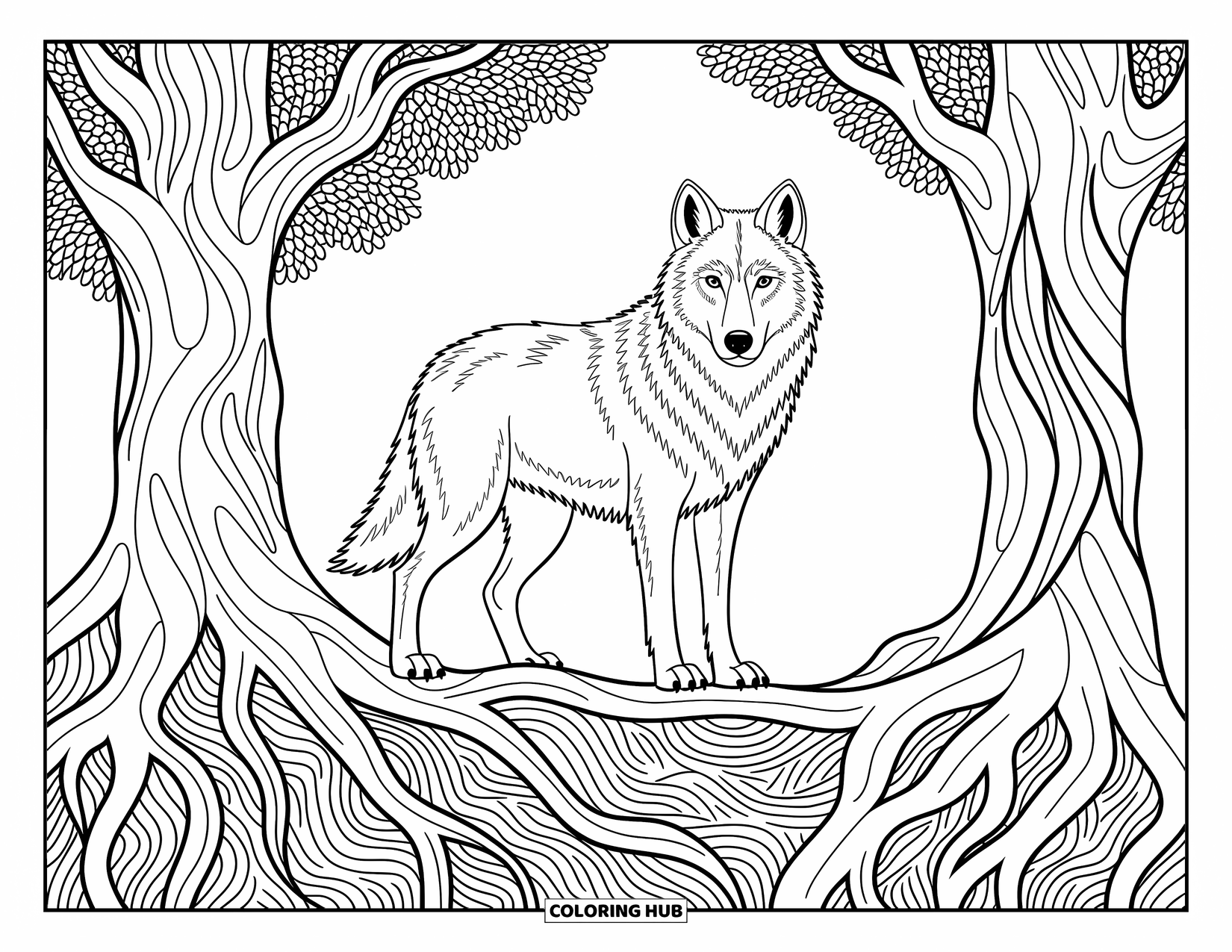 Kolorowanka z wilkiem dla dorosłych: Wilk między starożytnymi drzewami z splatającymi się korzeniami i misternymi wzorami