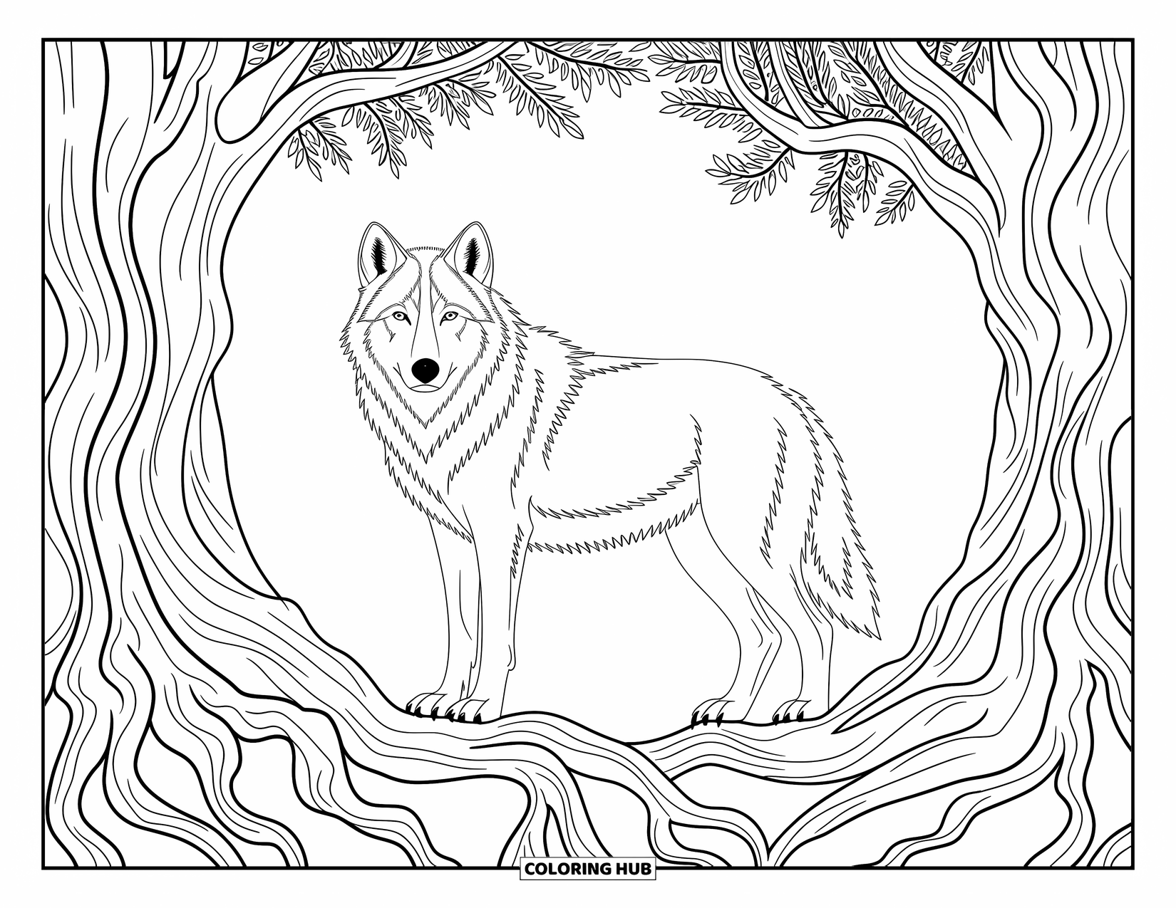 Kolorowanka z wilkiem dla dorosłych: Wilk między dwoma drzewami, których korzenie tworzą misternie wzory