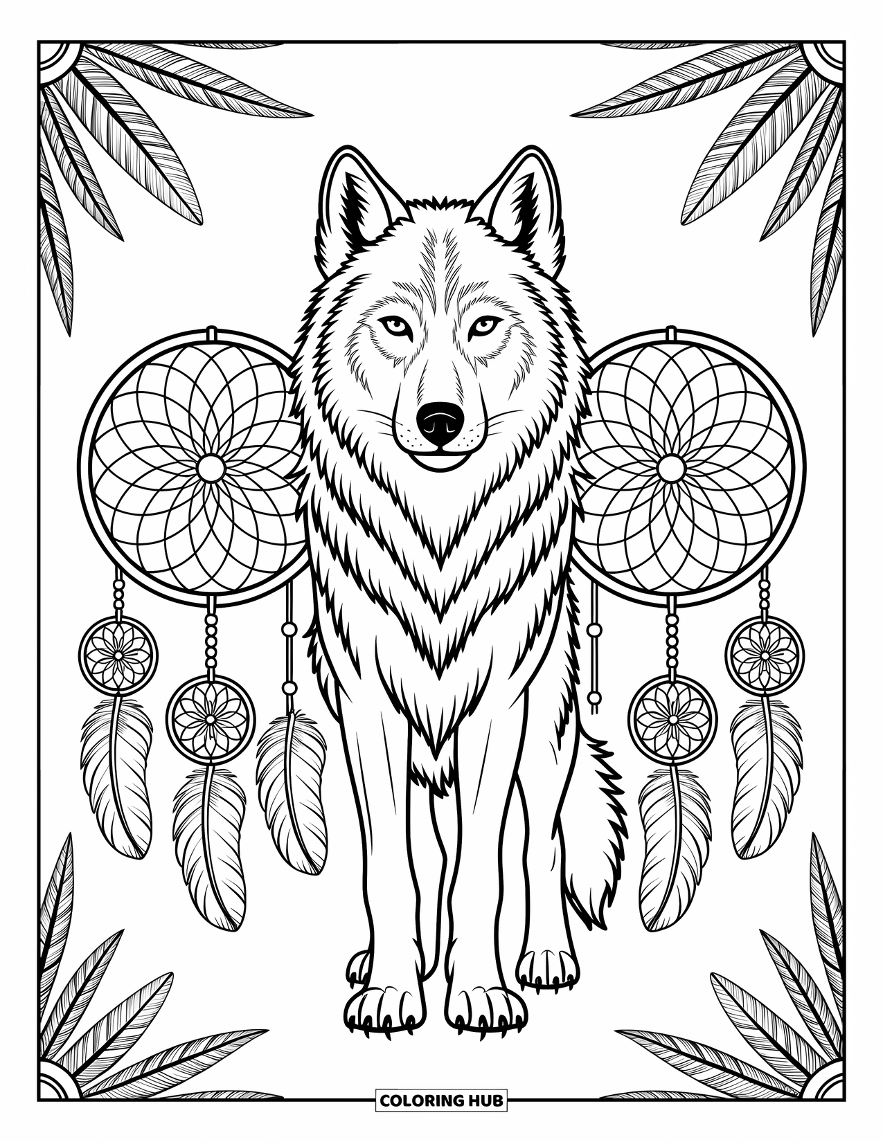 Kolorowanka z wilkiem dla dorosłych: Wilk z łapaczami snów i piórami otoczony szczegółowymi wzorami