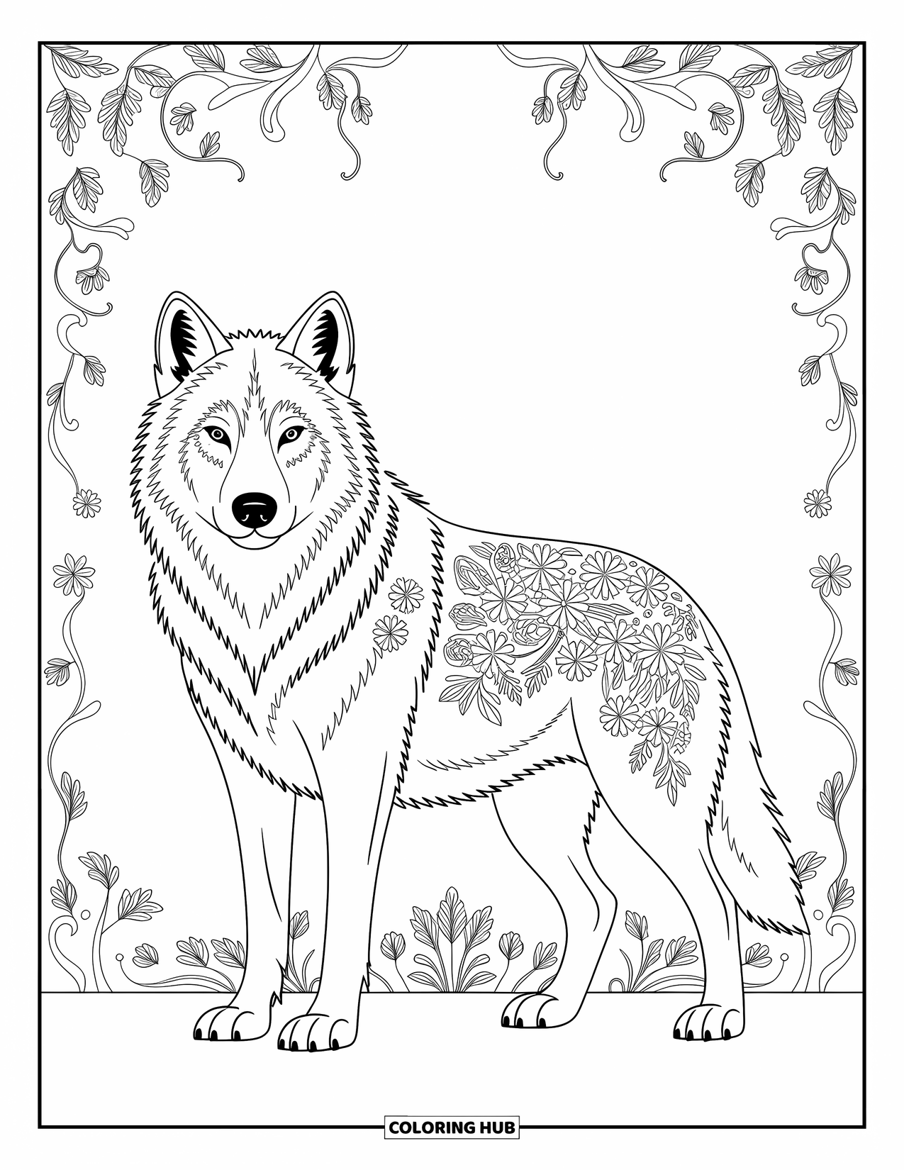 Kolorowanka z wilkiem dla dorosłych: Wilk z kwiatowymi wzorami i wirującymi pnączami ze szczegółowymi obramowaniami