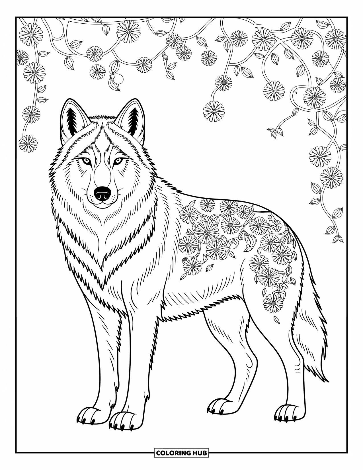 Kolorowanka z wilkiem dla dorosłych: Wilk z kwiatami wplecionymi w futro i szczegółowymi wzorami dookoła