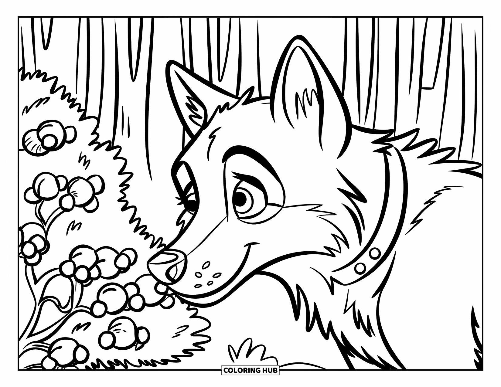 Kolorowanka z wilkiem dla dzieci: Ciekawski wilk wącha krzak jagodowy w lesie