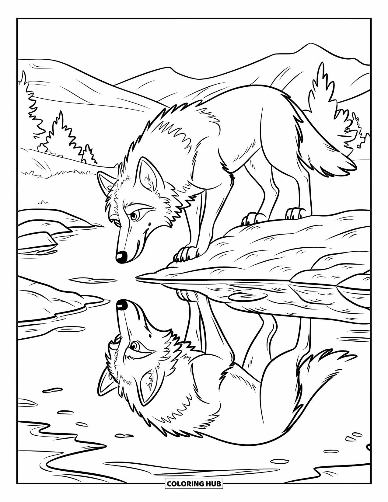 Kolorowanka z wilkiem dla dzieci: Wilk stoi na skałach, patrząc na swoje odbicie w stawie