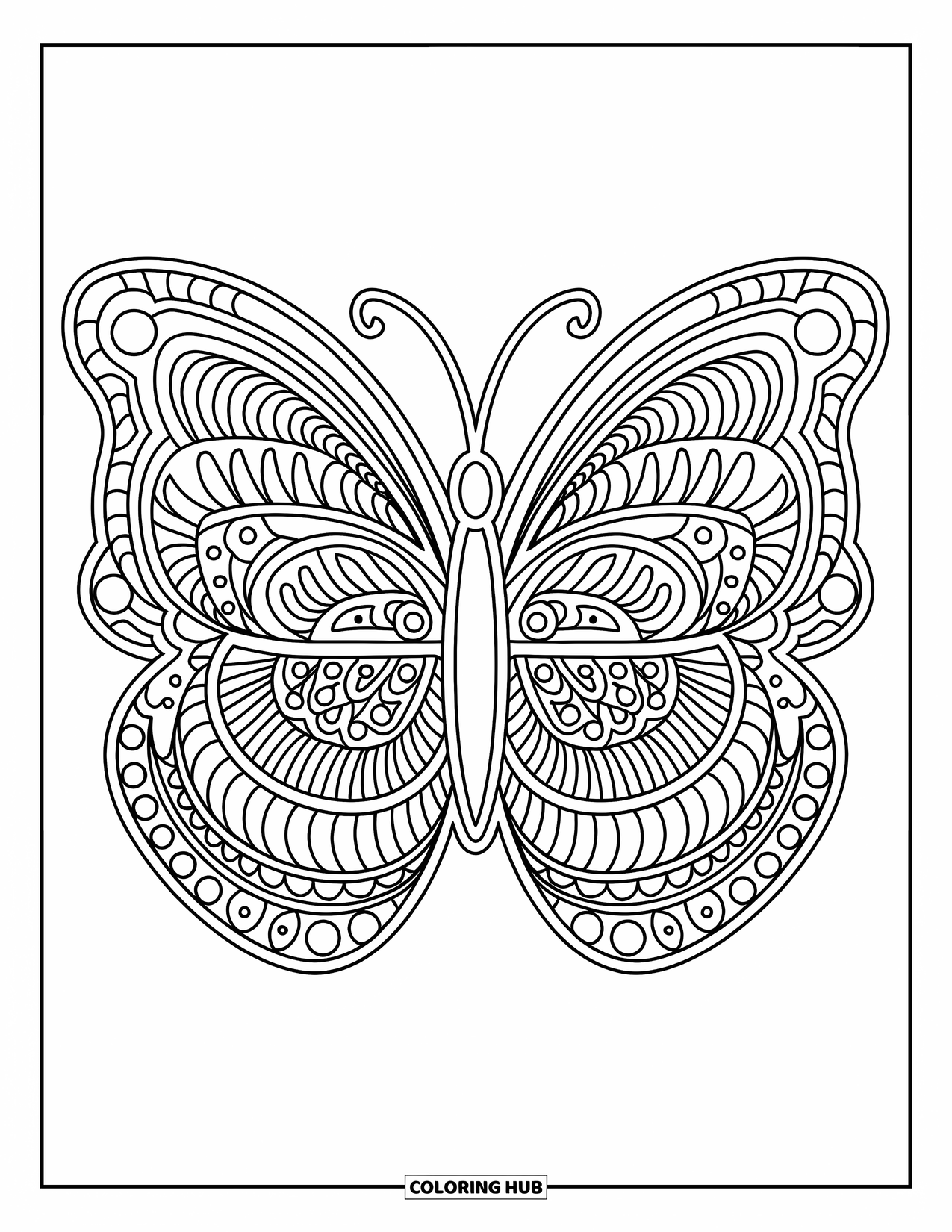 Animal Mandala Coloring Page for Adults: Butterfly with balanced mandala wings and intricate artistic details