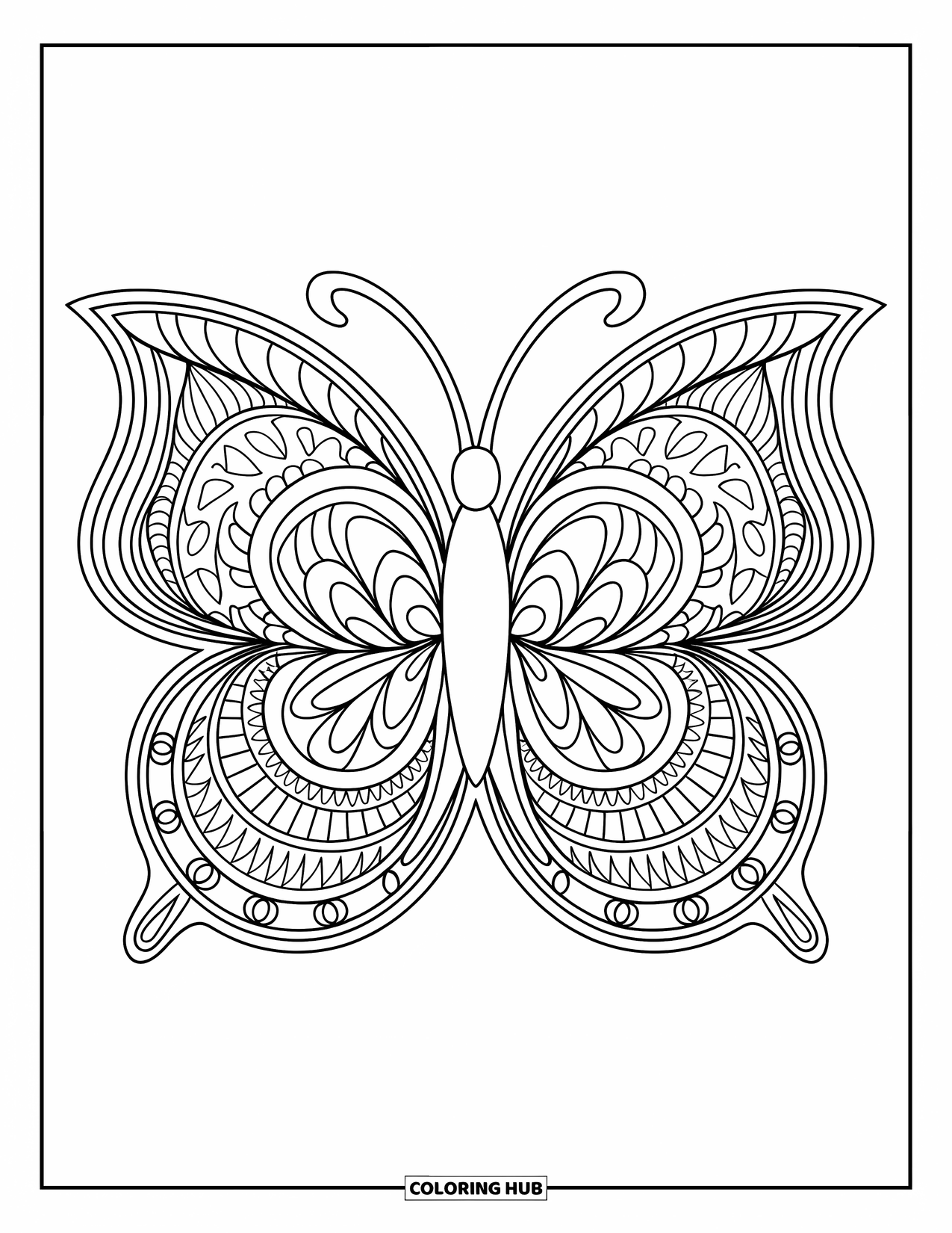 Animal Mandala Coloring Page for Adults: Butterfly with mandala wings framed by ornate borders