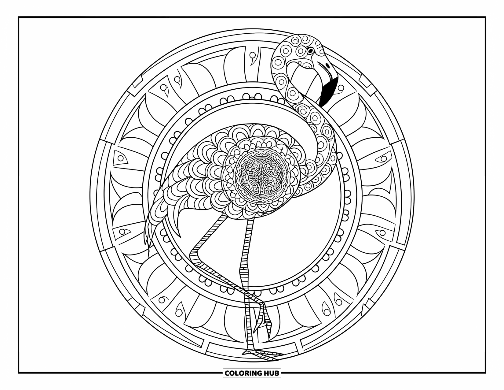 Animal Mandala Coloring Page for Adults: Elegant flamingo with mandala feathers and artistic background patterns