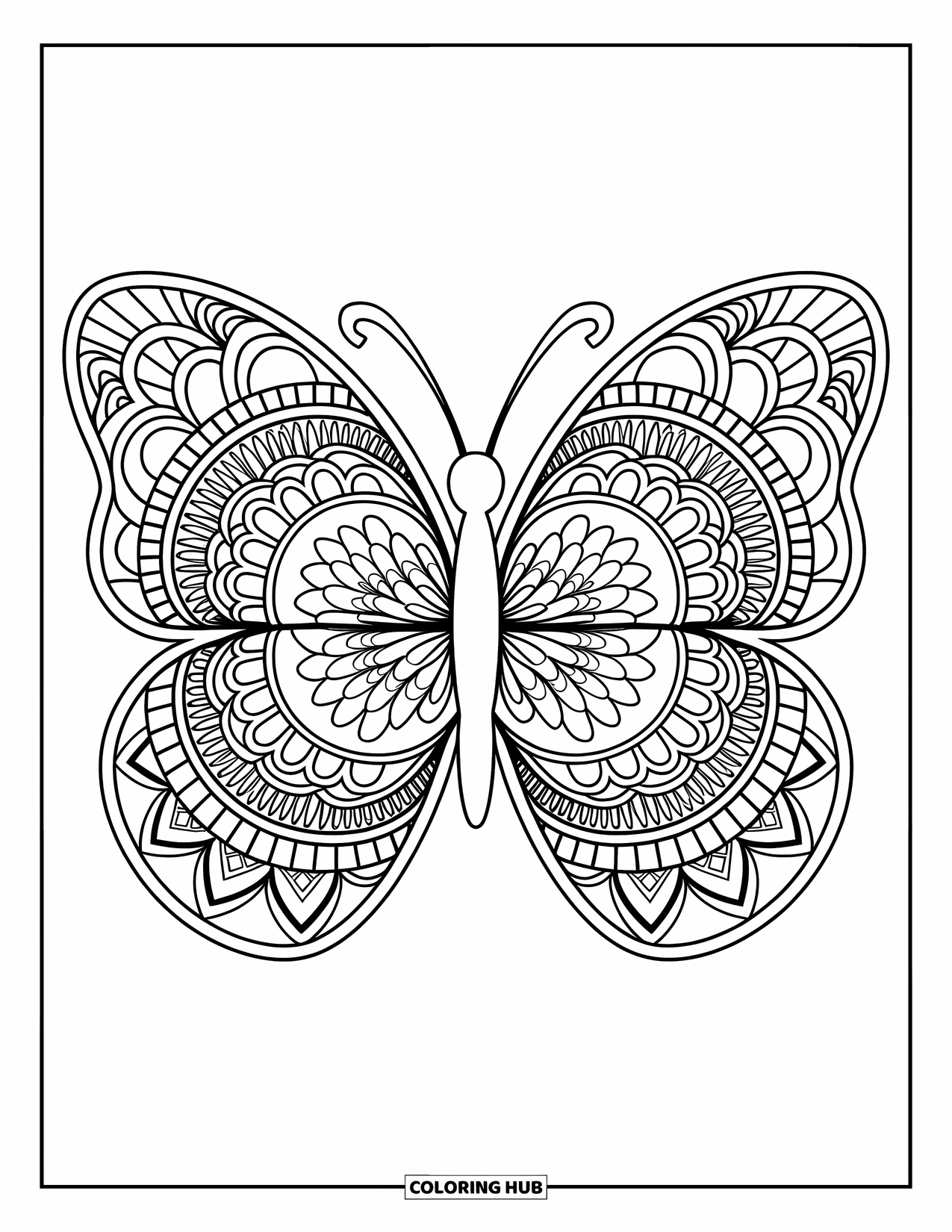 Animal Mandala Coloring Page for Adults: Mandala butterfly with bold outlines and elegant wing patterns