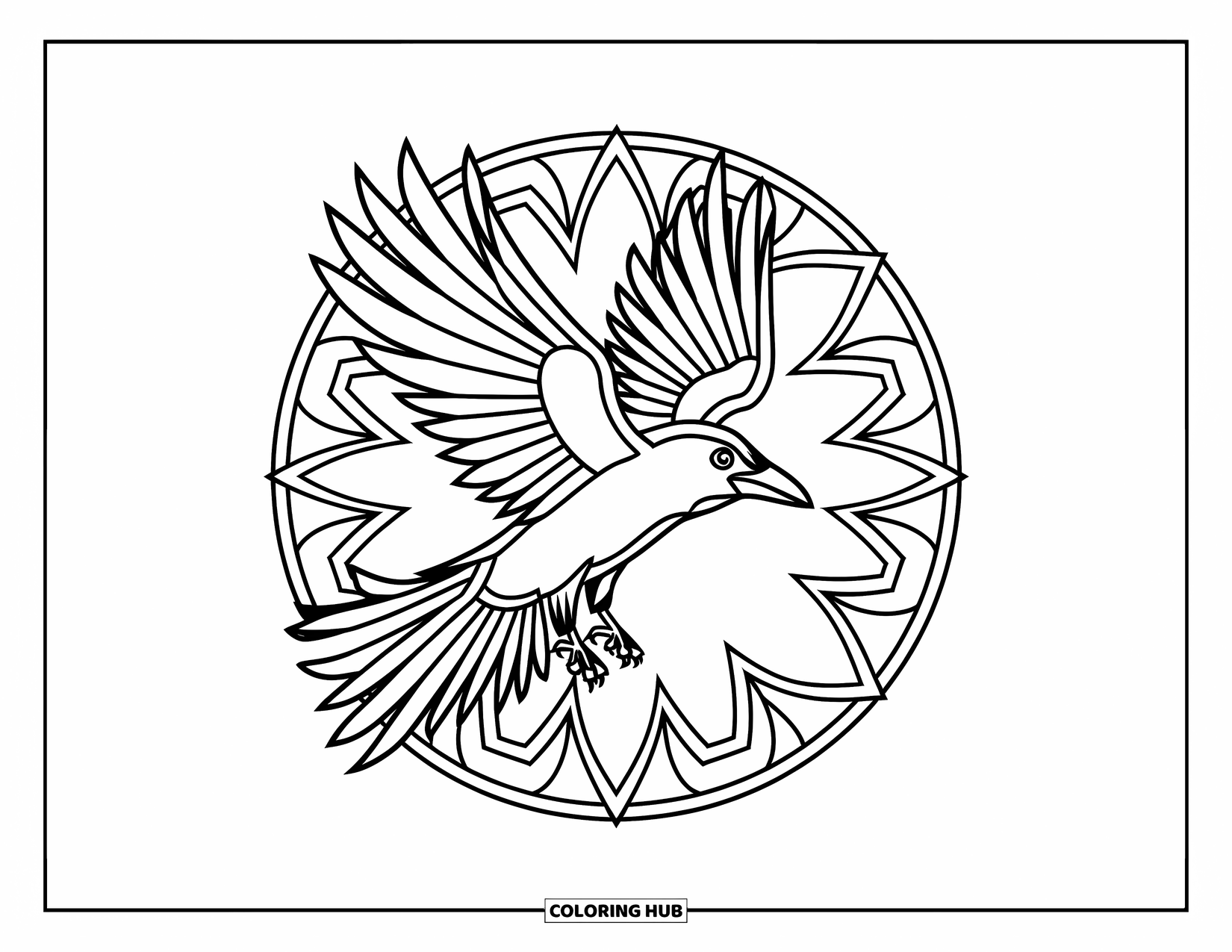 Animal Mandala Coloring Page for Adults: Mandala-style raven in flight with no background distractions