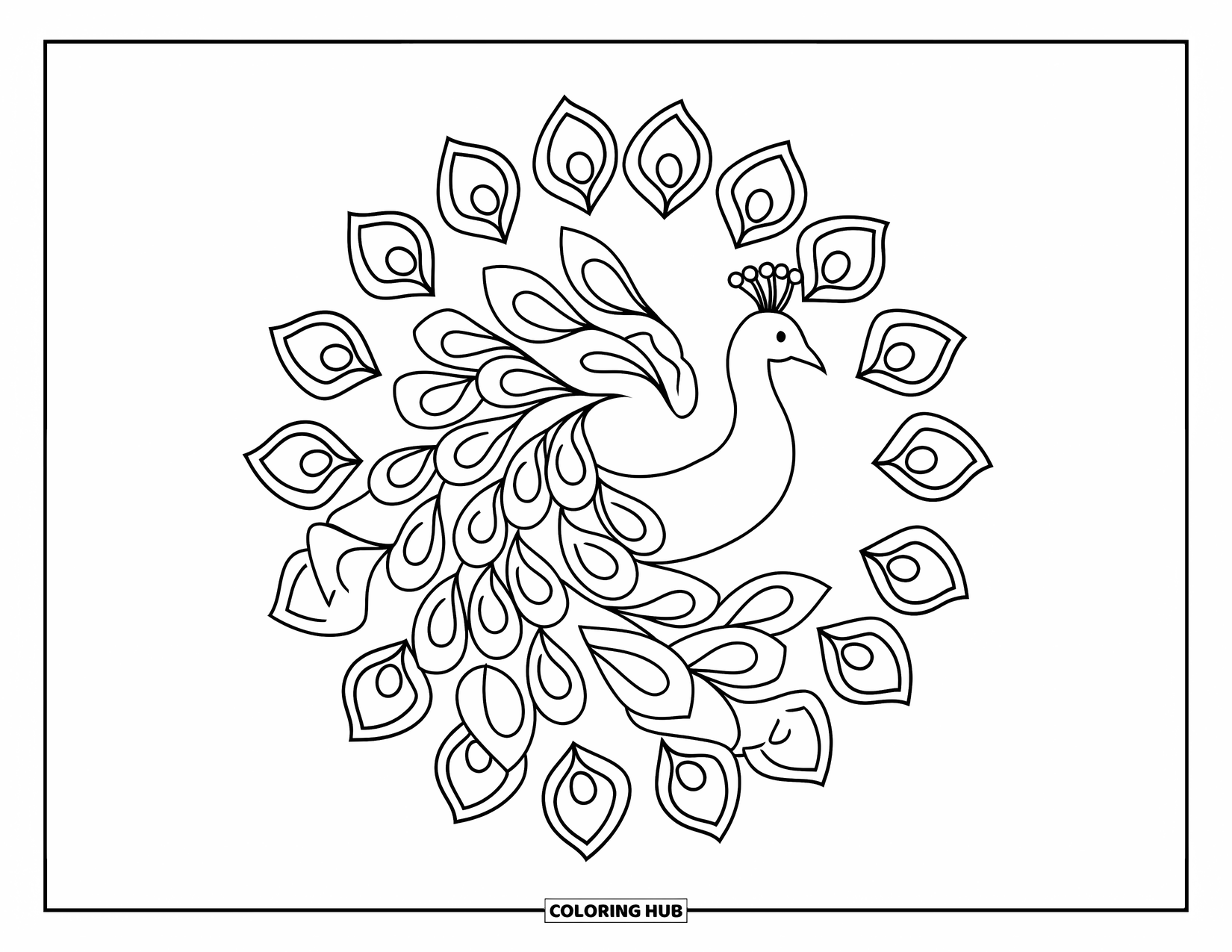 Animal Mandala Coloring Page for Kids: Peacock with bold tail mandalas and modern, expressive body patterns