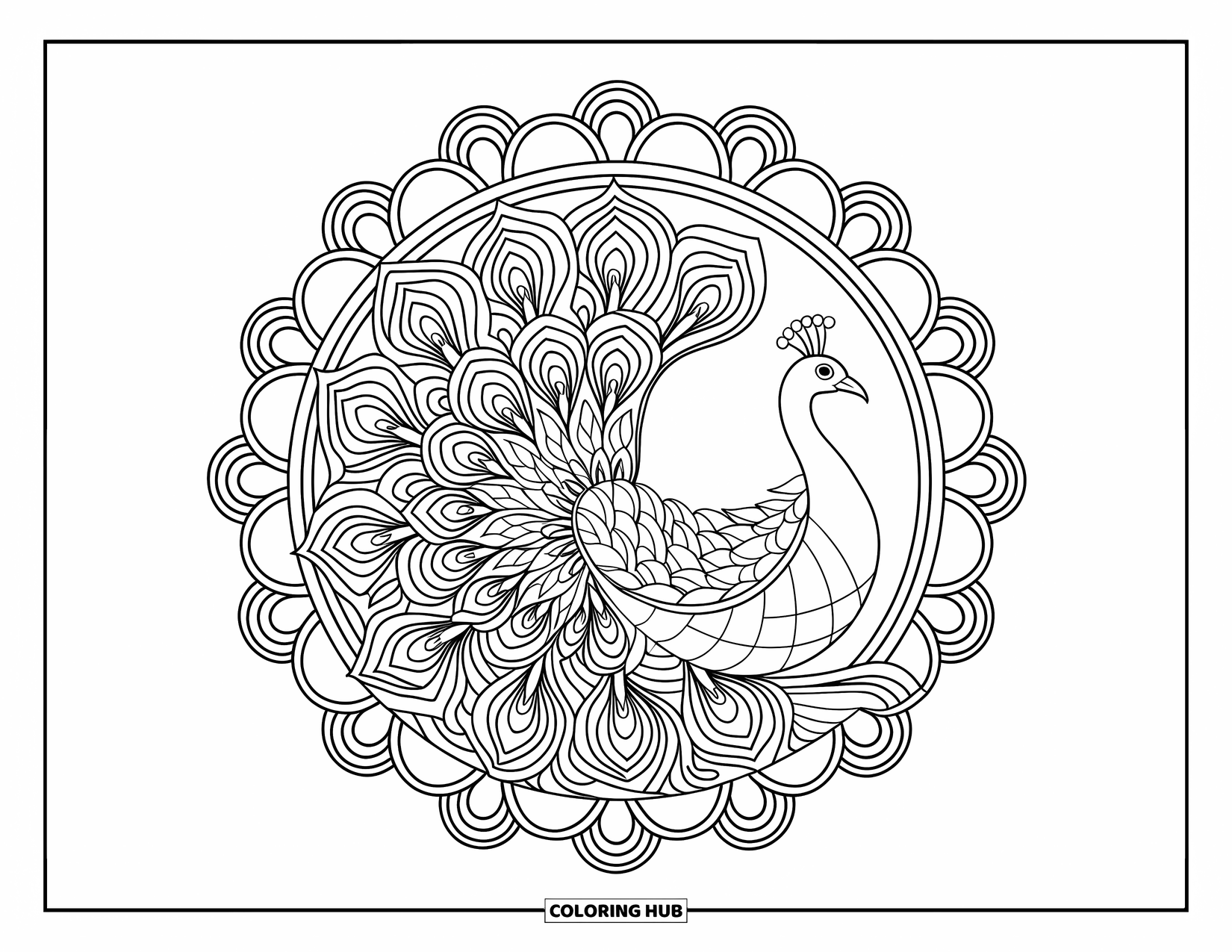 Animal Mandala Coloring Page for Kids: Peacock with layered mandala feathers spiraling from a detailed center