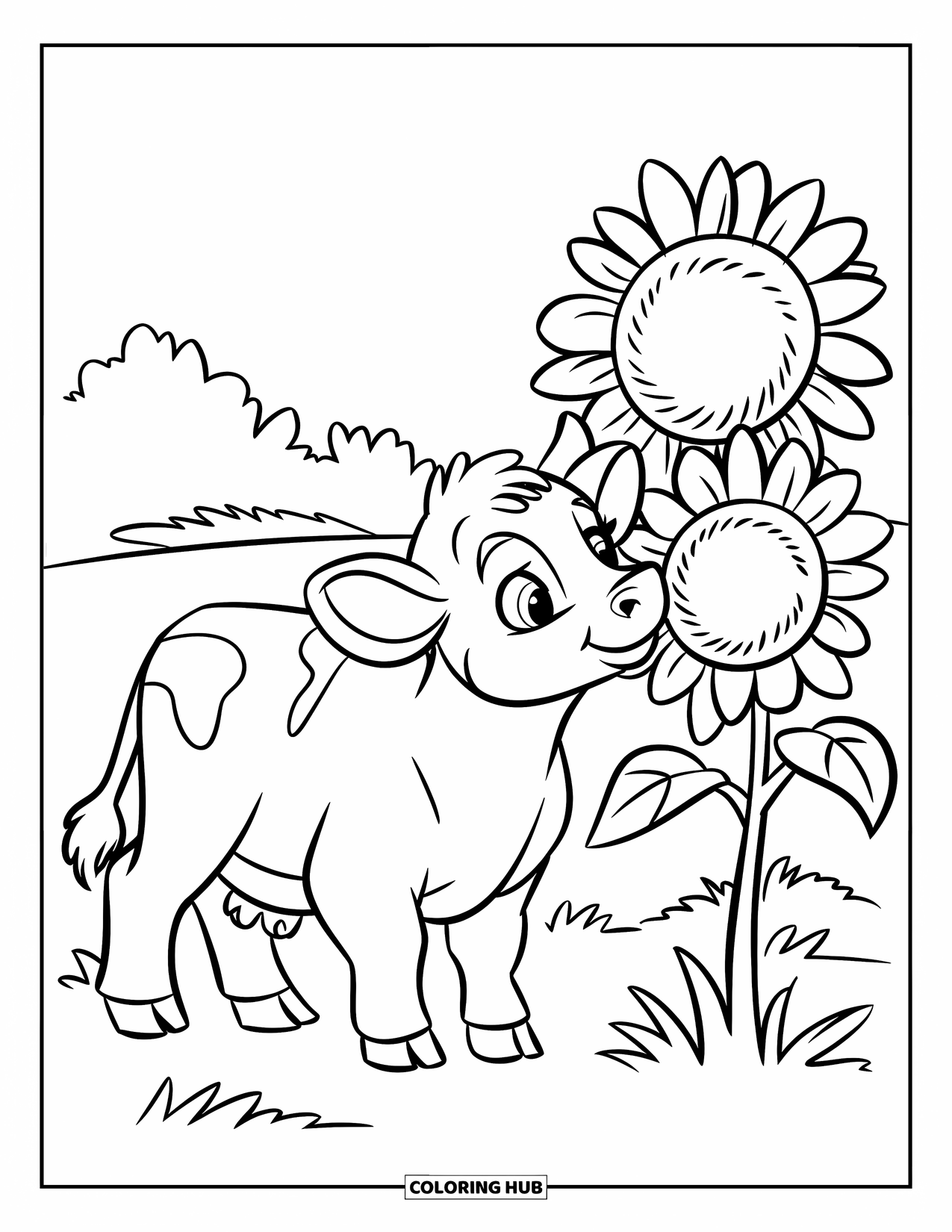 Baby Cow Coloring Page for Kids: A baby cow enjoys the scent of sunflowers on a sunny day