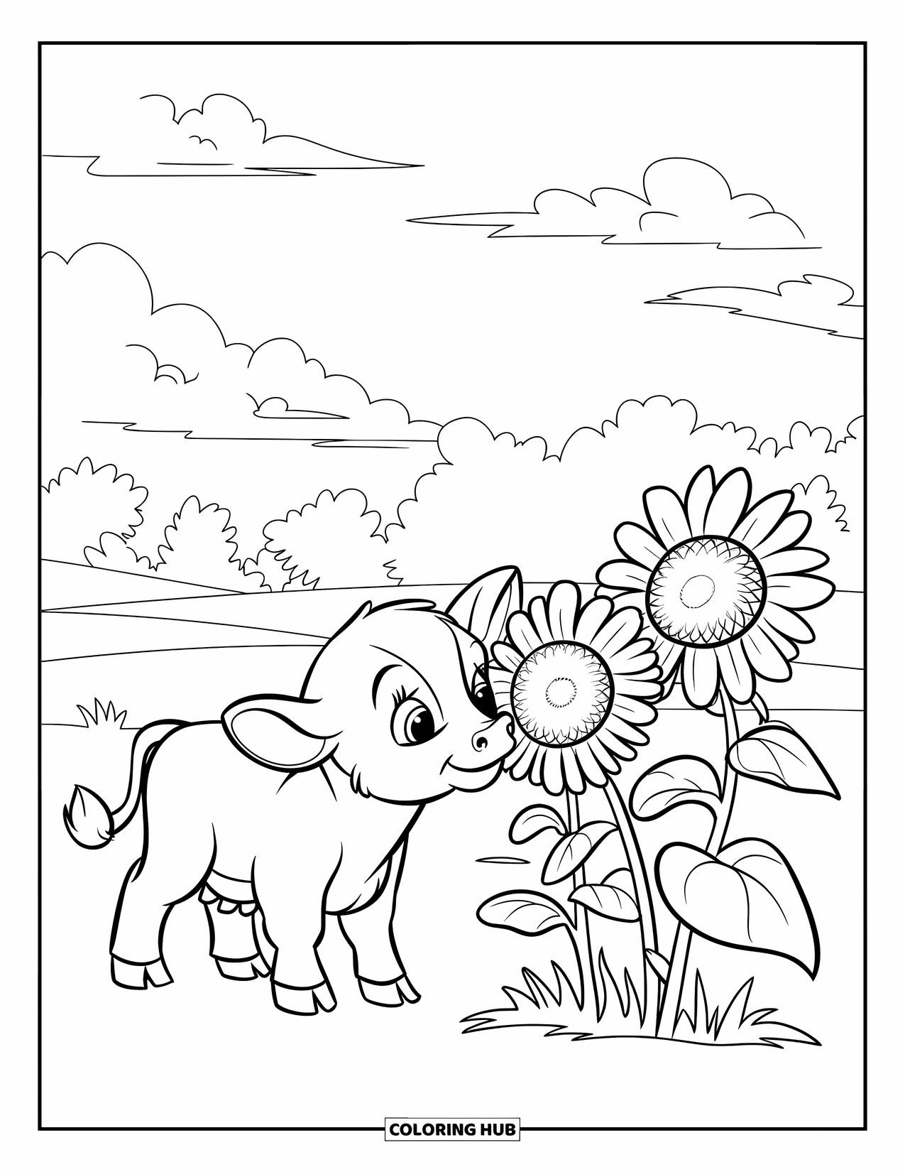 Baby Cow Coloring Page for Kids: A curious baby cow smells tall sunflowers in a peaceful field