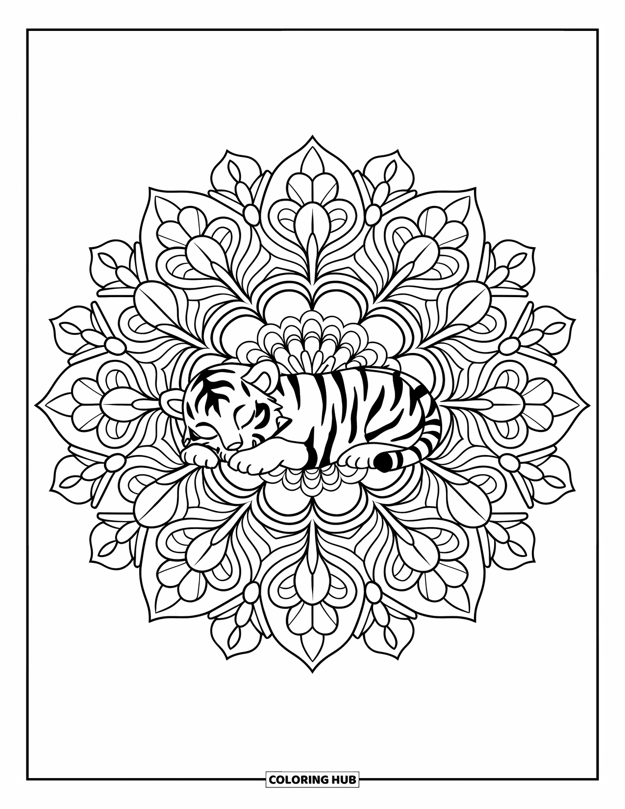 Kolorowanka z małym tygrysem dla dorosłych: Spokojny tygrys leży w sercu szczegółowej mandali