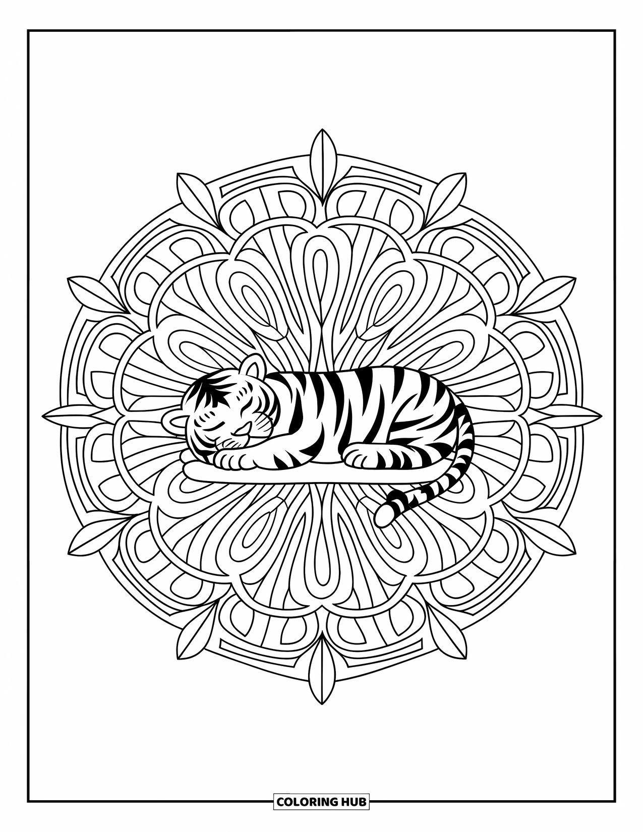 Kolorowanka z małym tygrysem dla dorosłych: Śpiący tygrys zwinięty w centrum kwiecistego wzoru mandali