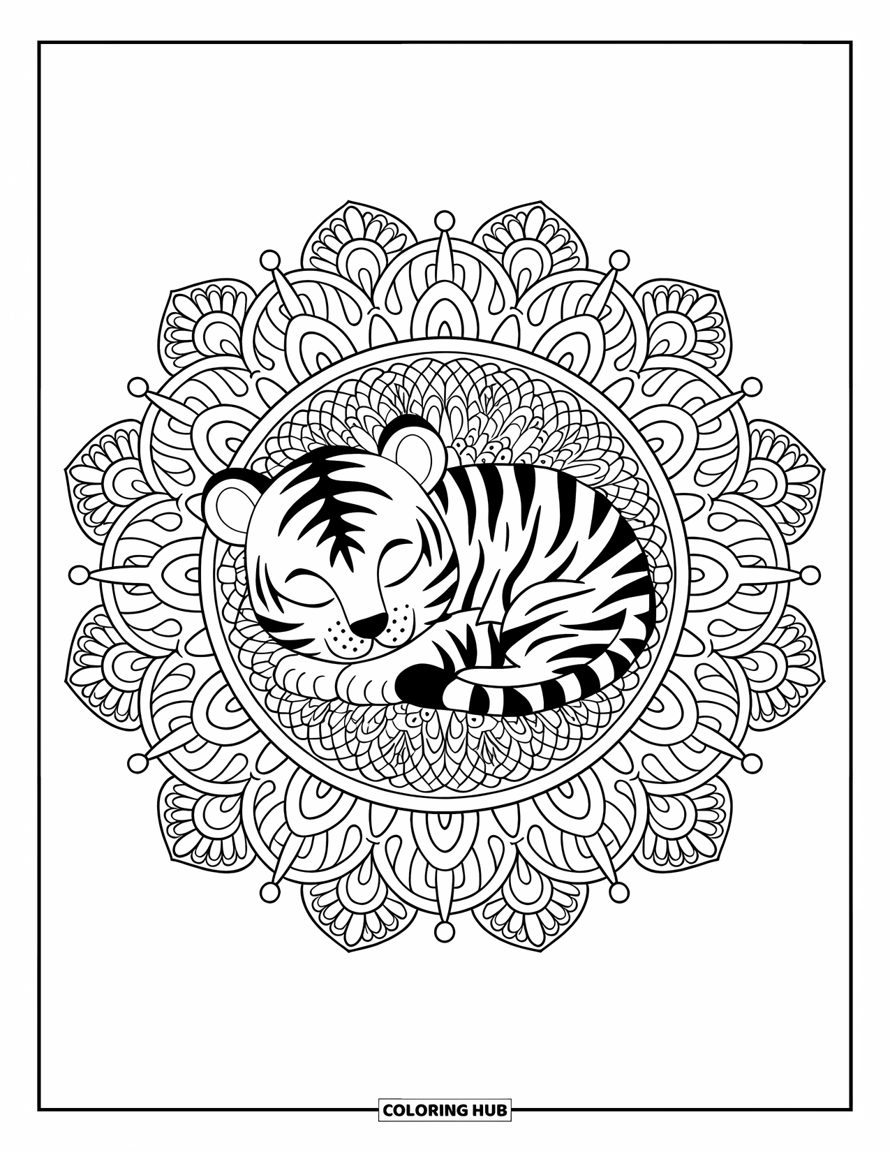Kolorowanka z małym tygrysem dla dorosłych: Tygrysiątko drzemiące w skomplikowanej mandali pełnej liści i kształtów