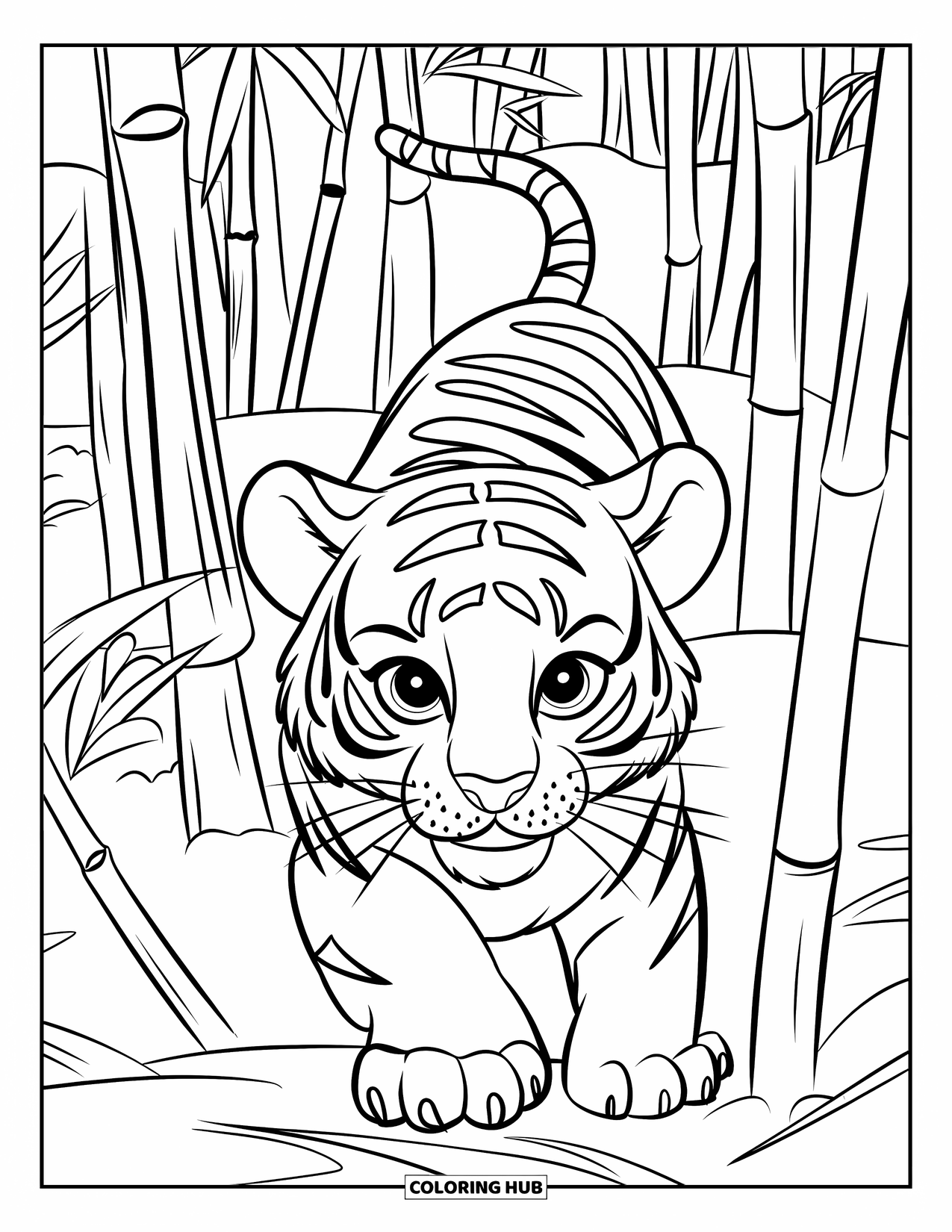 Kolorowanka z Tygryskiem dla Dzieci: Skupiony tygrys przemierza bambusy, szeroko otwarte i czujne oczy