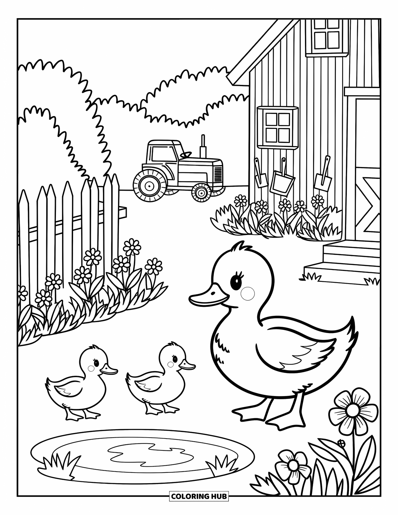 Barn Coloring Page for Adults: A mama duck and her babies wander near a pond and peaceful barn