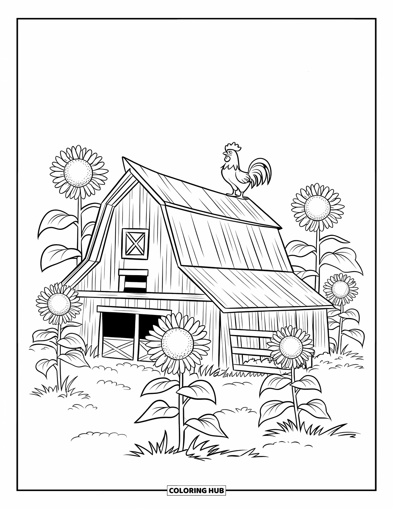 Barn Coloring Page for Kids: A rooster perches on a rustic barn surrounded by tall sunflowers