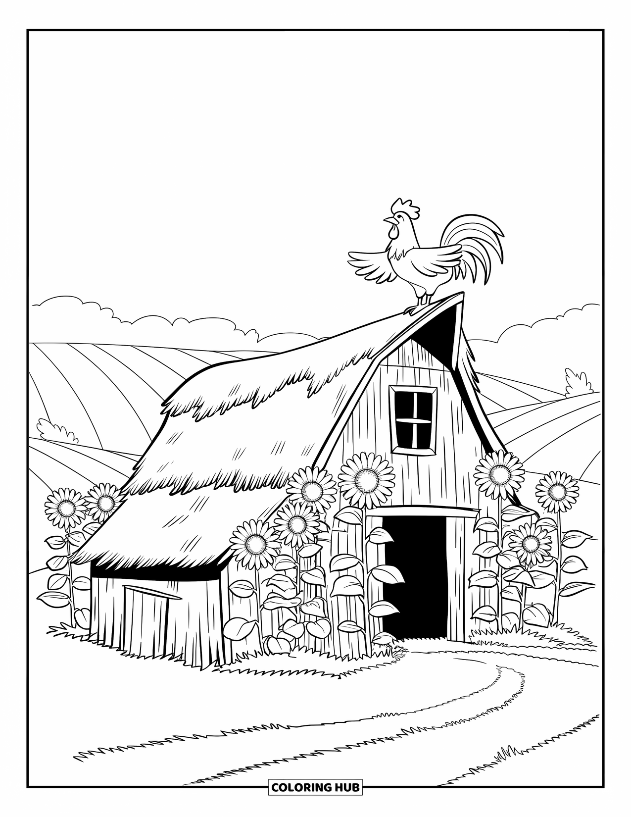 Barn Coloring Page for Kids: A weathered barn stands among sunflowers with a rooster on top