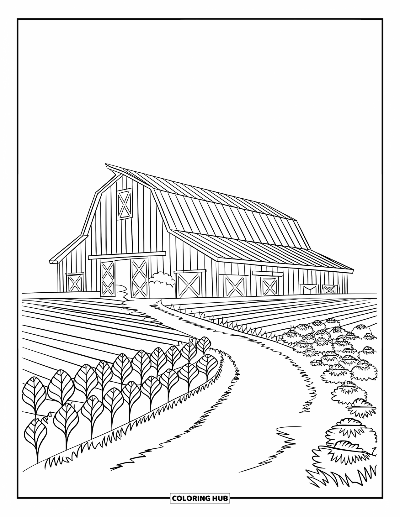 Barn Coloring Page for Kids: Neat rows of crops frame a barn with a winding path