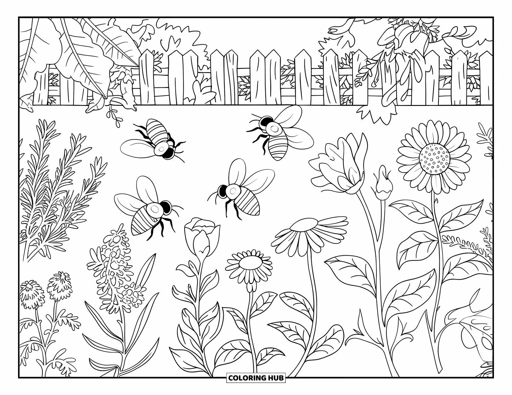 Bee Coloring Page for Adults: A cozy garden with rosemary, daisies, and bees flying near a fence and quiet trees