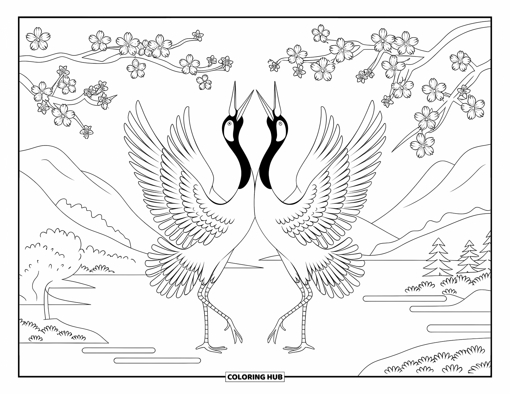 Vogel Ausmalbild für Erwachsene: Kraniche mit offenen Flügeln tanzen unter blühenden Kirschbäumen