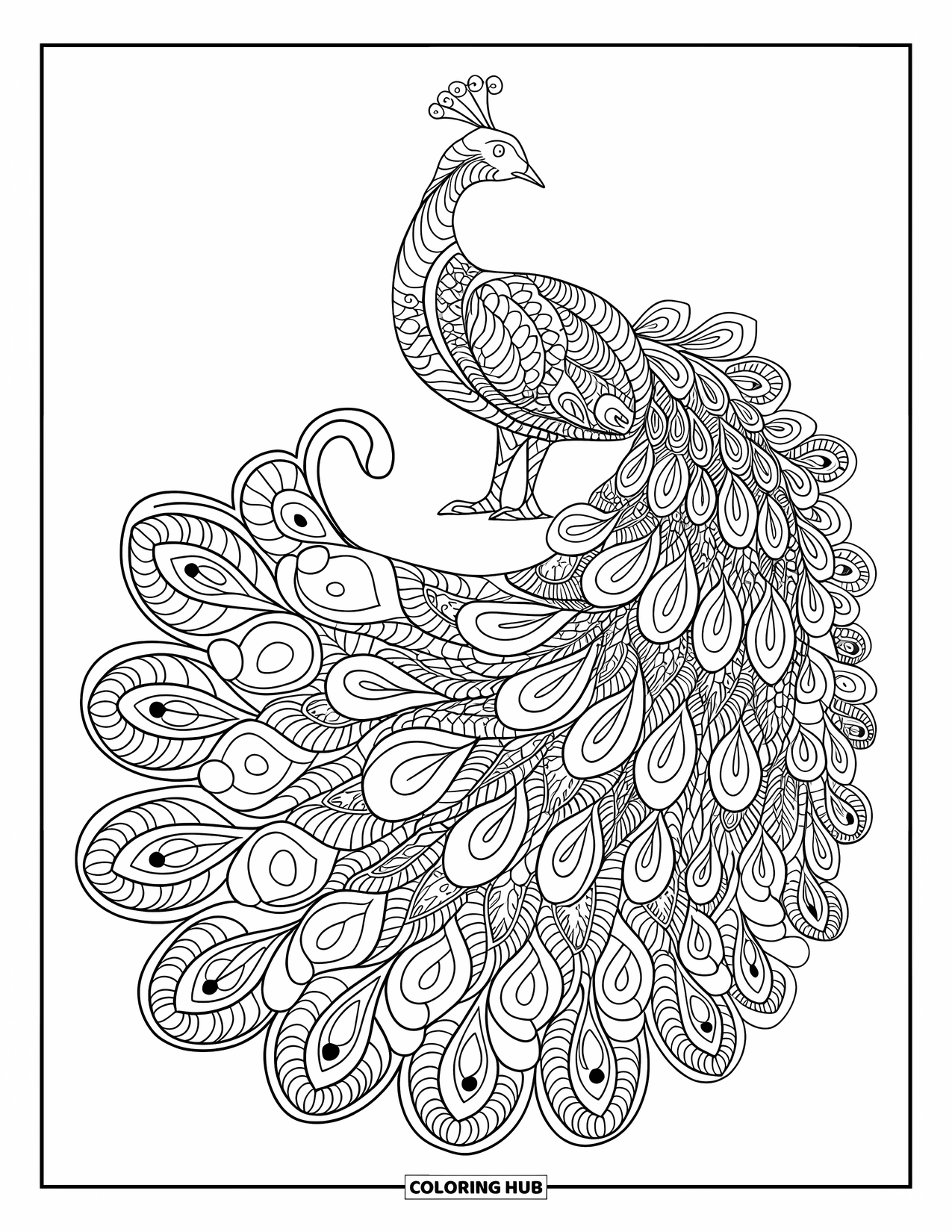 Vogel Ausmalbild für Erwachsene: Pfau mit komplizierten Mustern im Schwanz, der ein vollständiges Mandala bildet
