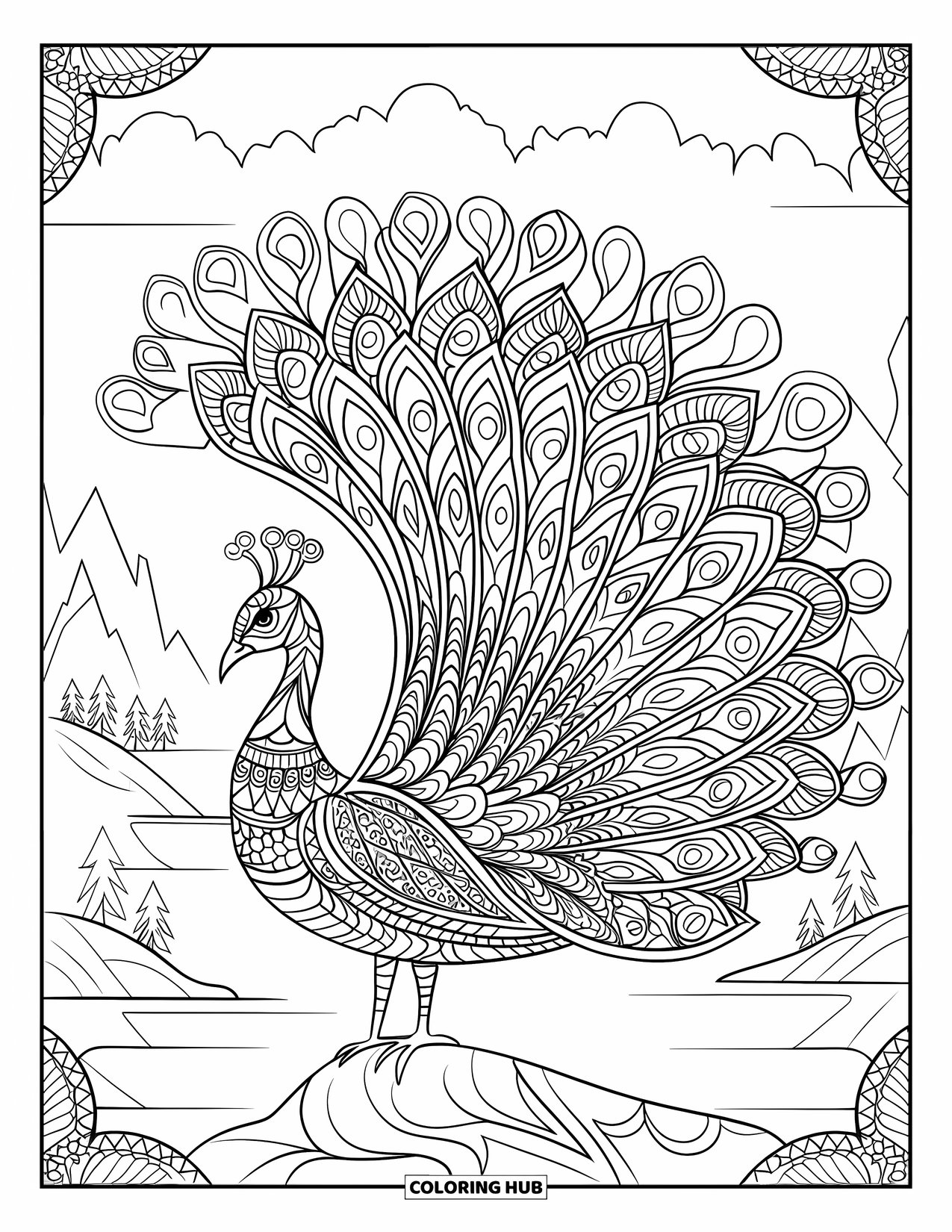 Vogel Ausmalbild für Erwachsene: Pfau mit Mandala-Schwanzdesign, umrahmt von Bergen und Wasser