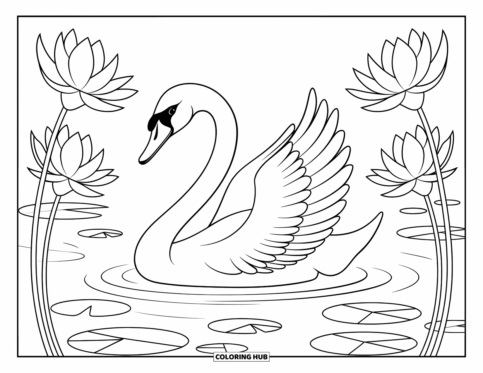 Vogel Ausmalbild für Erwachsene: Schwan gleitet auf einem ruhigen See, umgeben von blühenden Lotusblumen