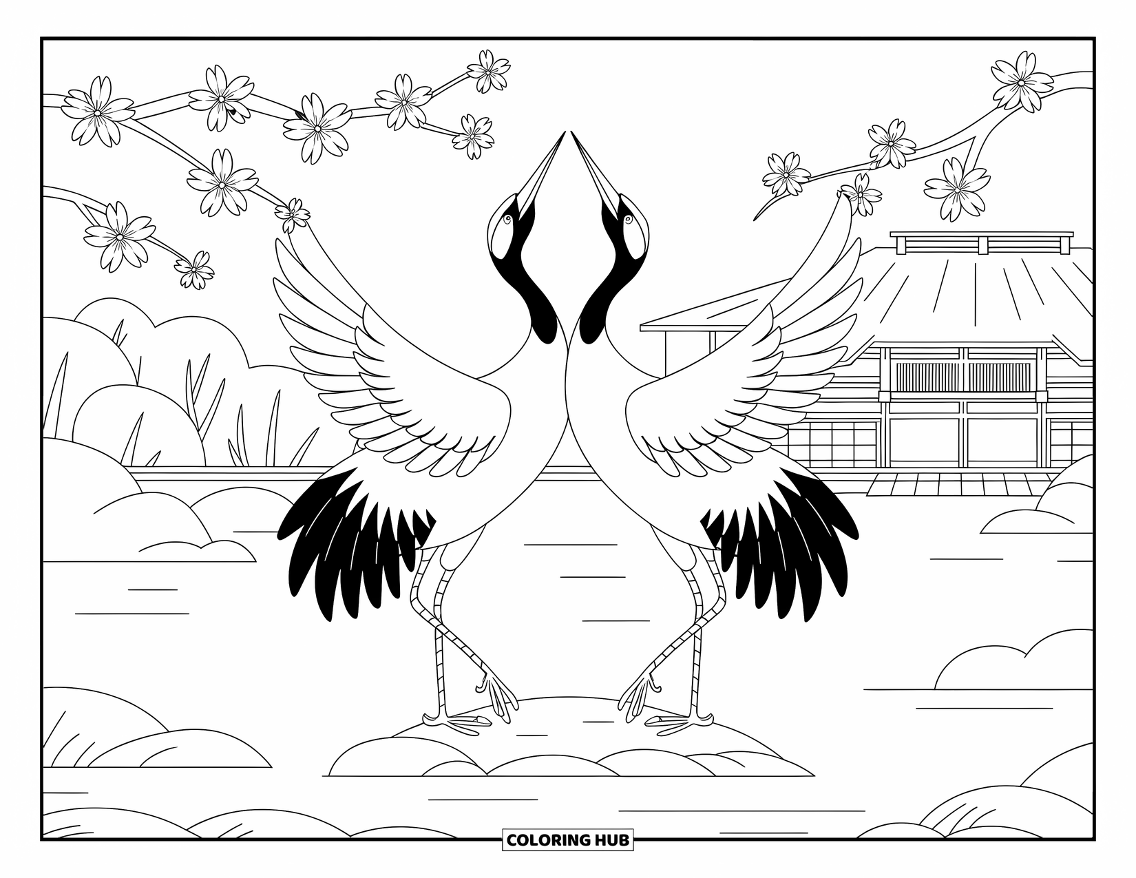 Vogel Ausmalbild für Erwachsene: Zwei Kraniche tanzen unter Kirschblüten mit einer friedlichen Aussicht im Hintergrund