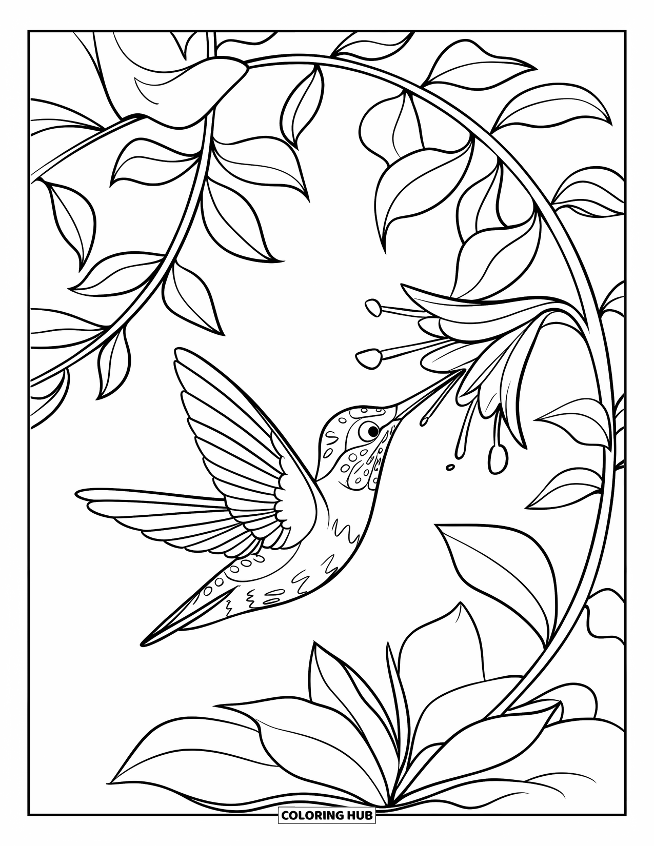 Vogel Ausmalbild für Kinder: Bunter Kolibri fliegt und trinkt von einer blühenden Blume