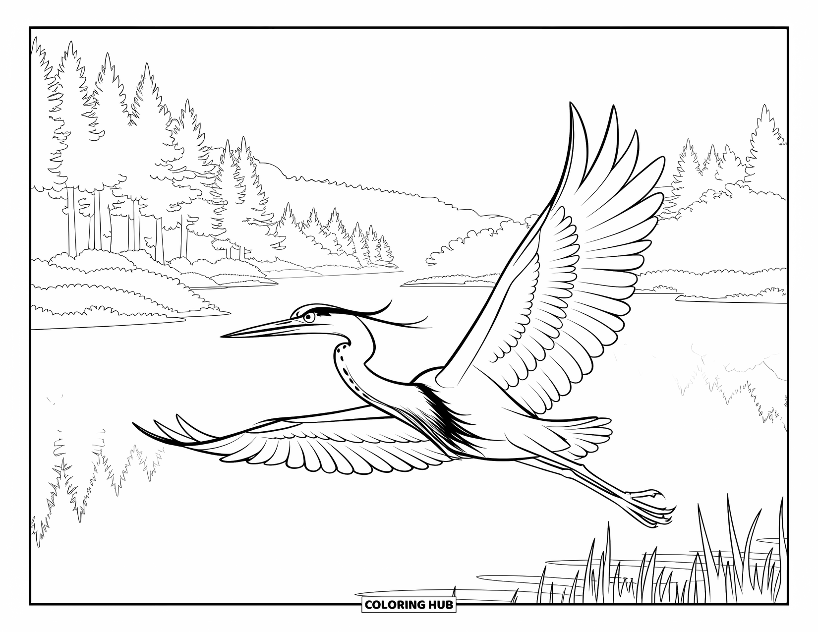 Vogel Ausmalbild für Kinder: Reiher gleitet über einen ruhigen See, umgeben von hohen Bäumen und Wolken