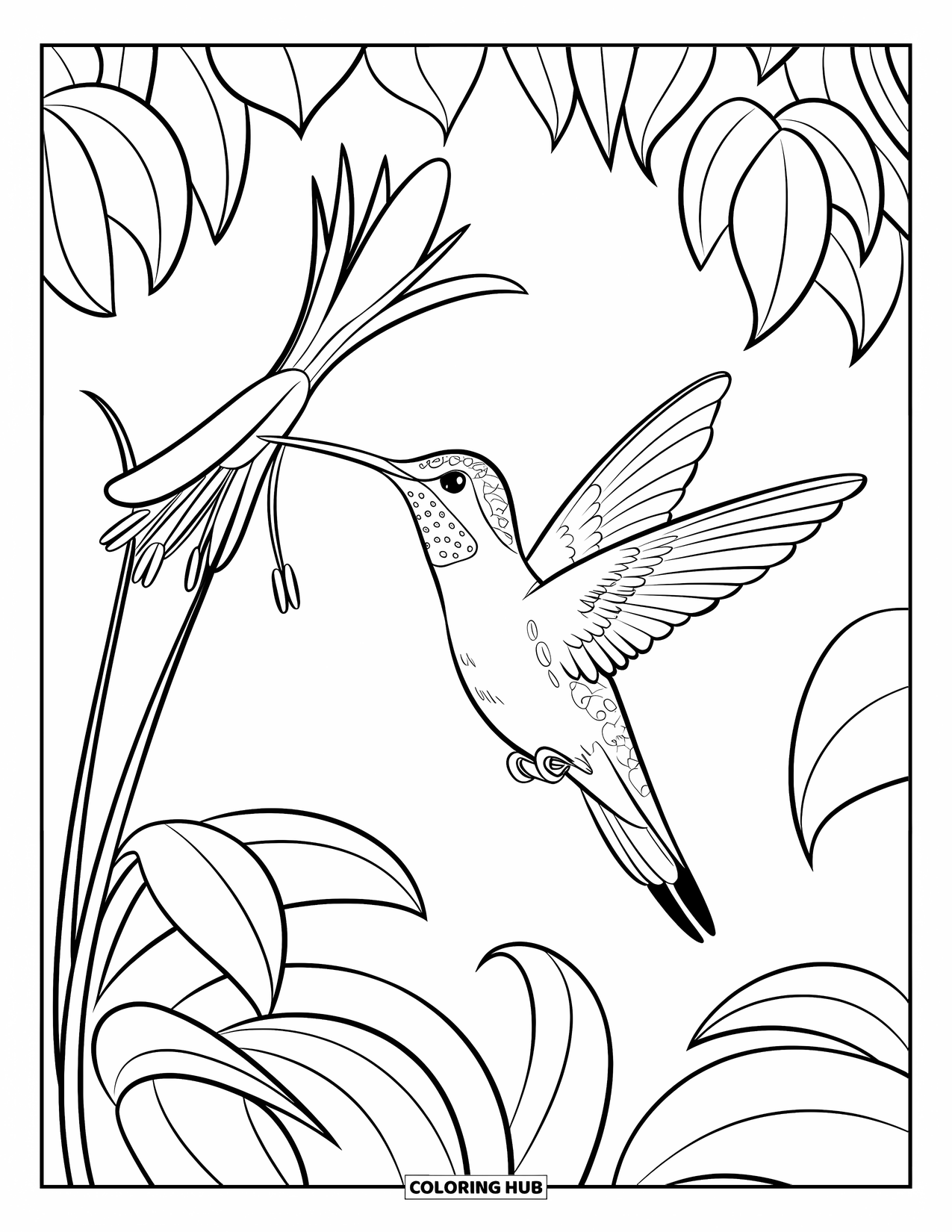 Vogel Ausmalbild für Kinder: Kolibri ernährt sich von einer Blume inmitten üppiger Blätter