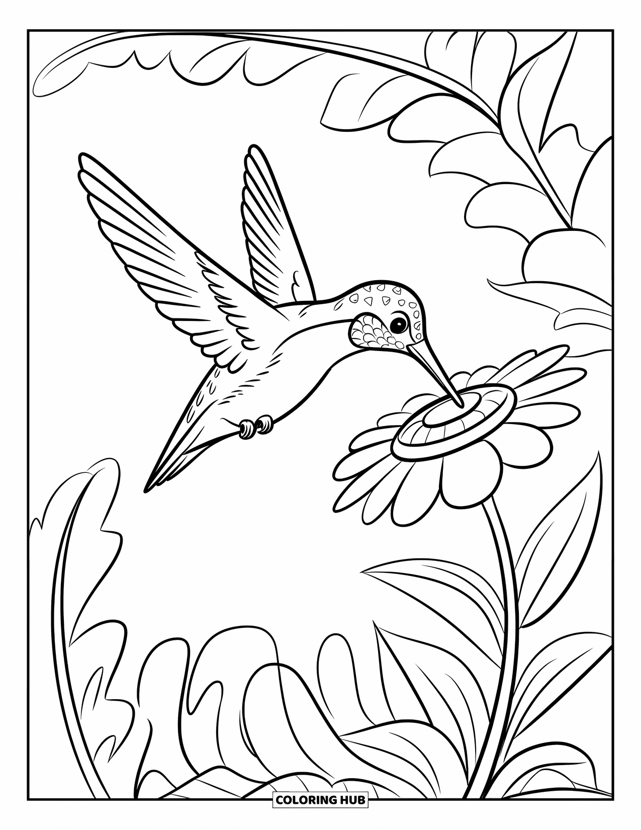 Vogel Ausmalbild für Kinder: Kolibri schwebt, um von einer auffällig gemusterten Blume zu trinken