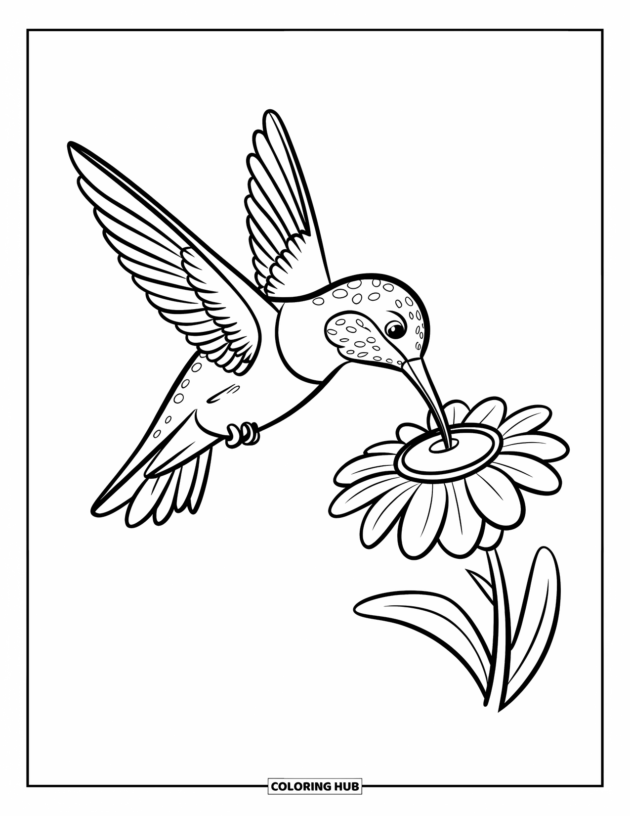 Vogel Ausmalbild für Kinder: Kolibri schlürft Nektar aus der Luft von einer Blume