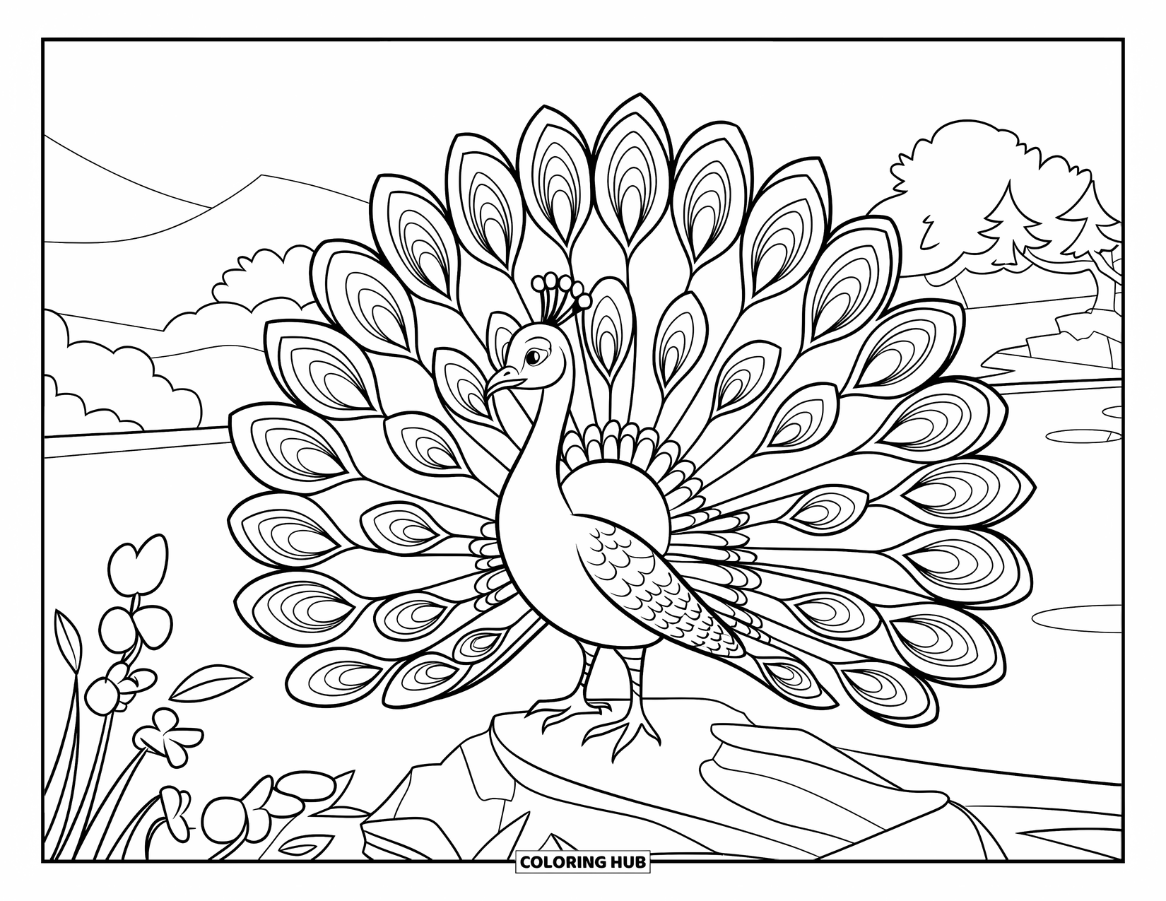 Vogel Ausmalbild für Kinder: Pfau auf felsigem Gelände mit Blumen in der Nähe und Bergen in der Ferne