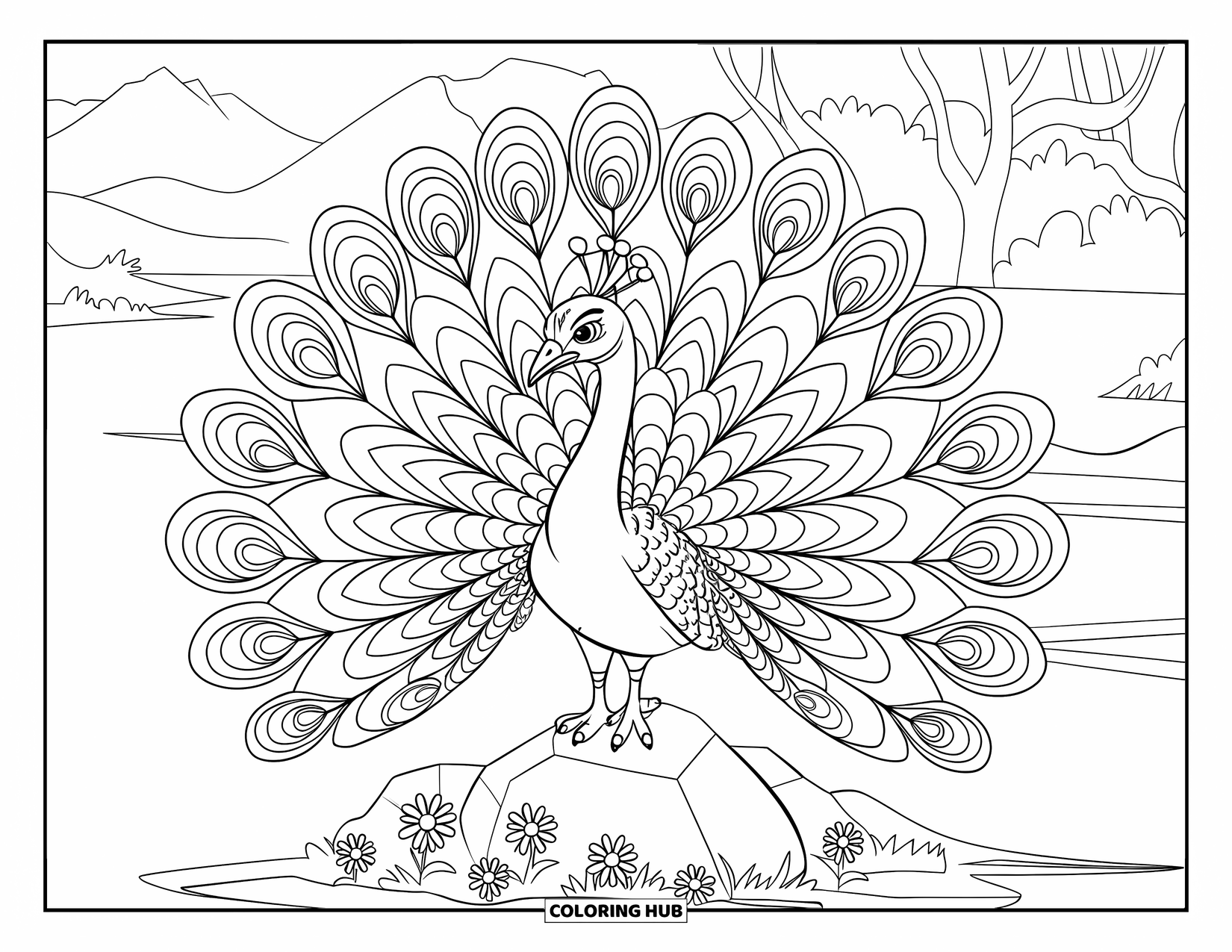 Vogel Ausmalbild für Kinder: Pfau zeigt sein Gefieder neben einem ruhigen See und Bergblick