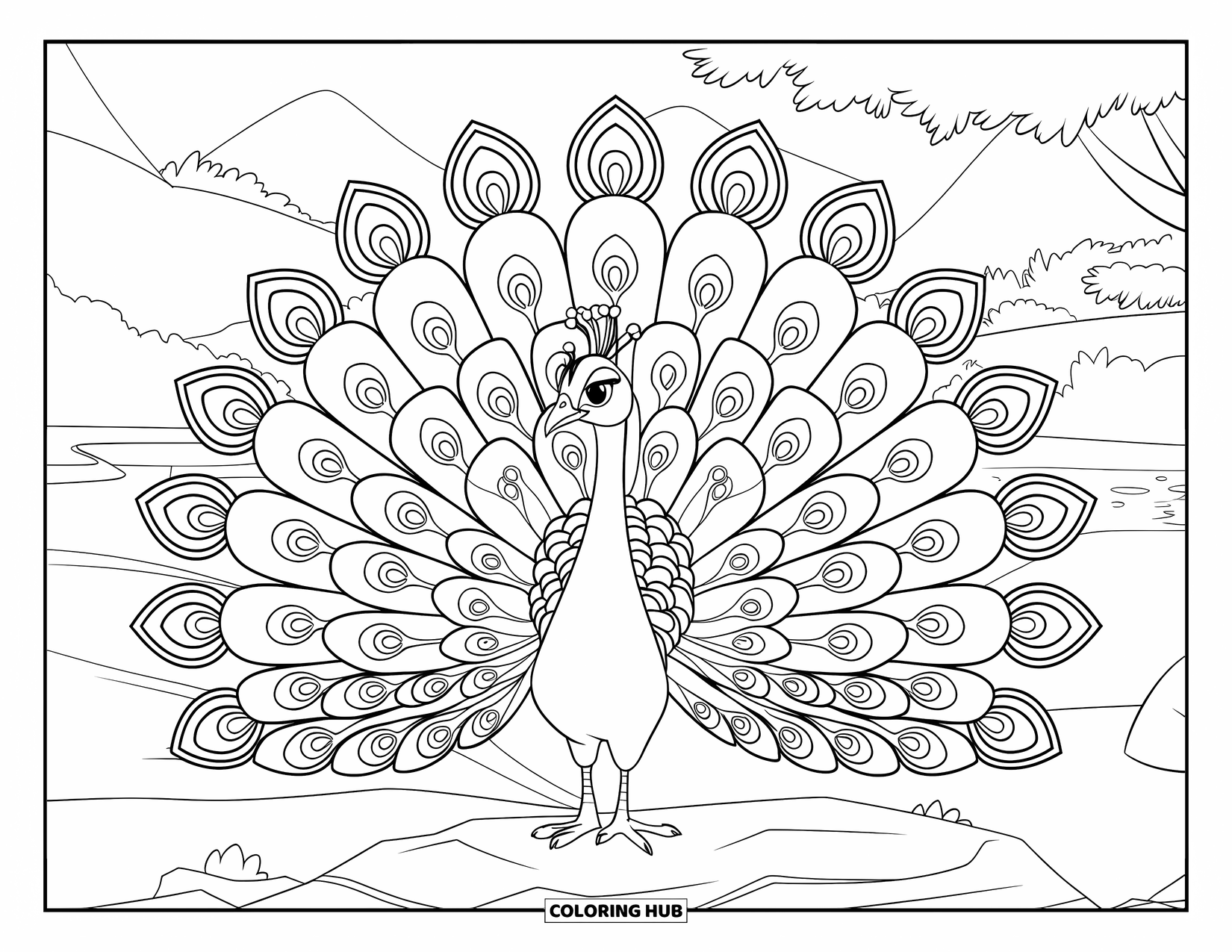Vogel Ausmalbild für Kinder: Pfau steht stolz auf felsigem Boden und hat sein Gefieder aufgefächert