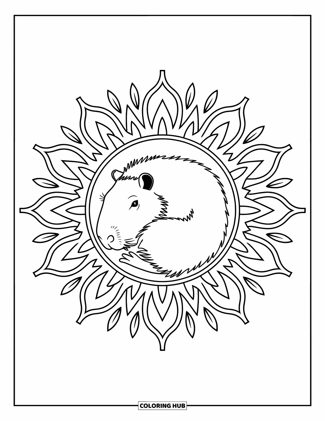 Capybara Coloring Page for Adults: Capybara curls in a sunburst mandala filled with radiating lines and soft leaves