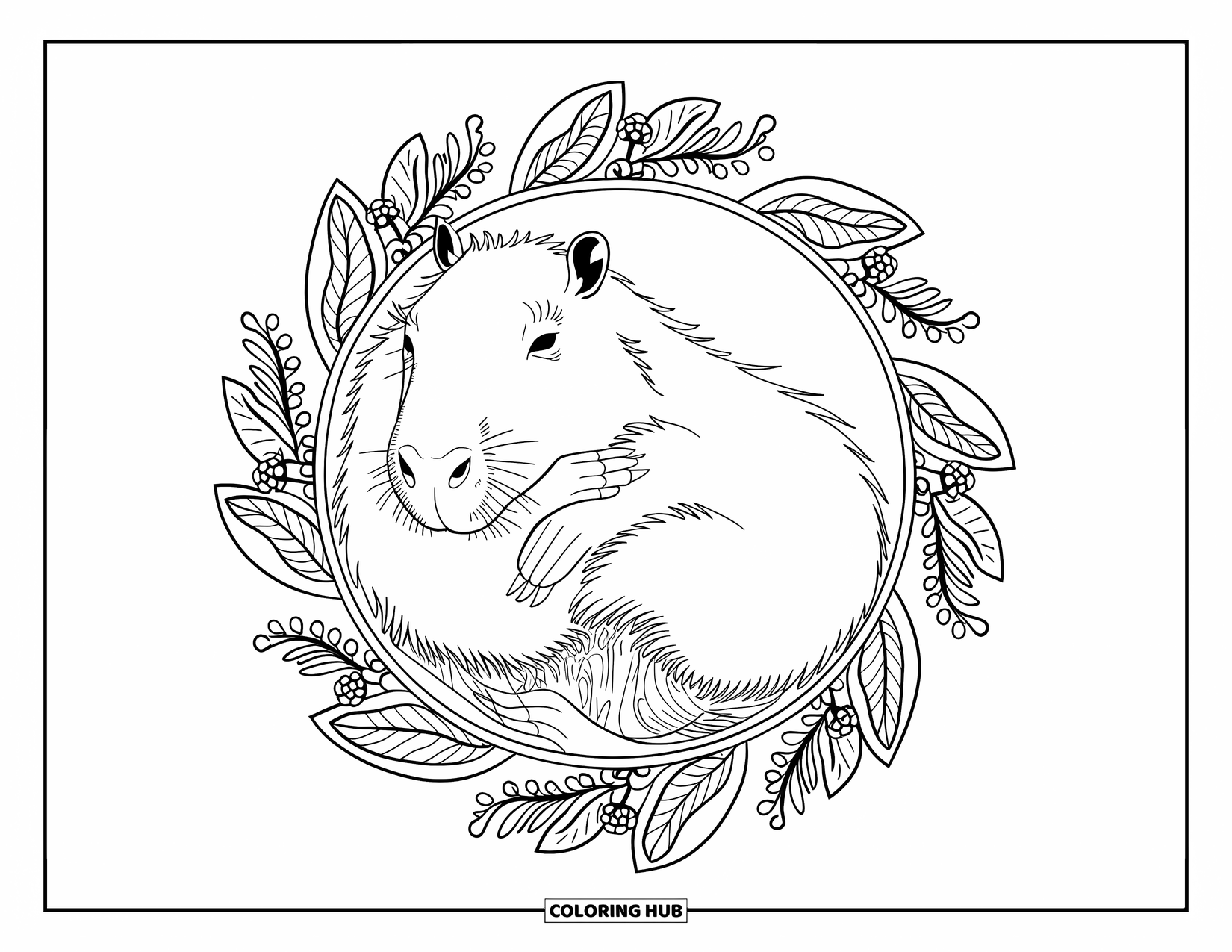 Capybara Coloring Page for Adults: Capybara curls peacefully inside a leafy mandala with berries and branches