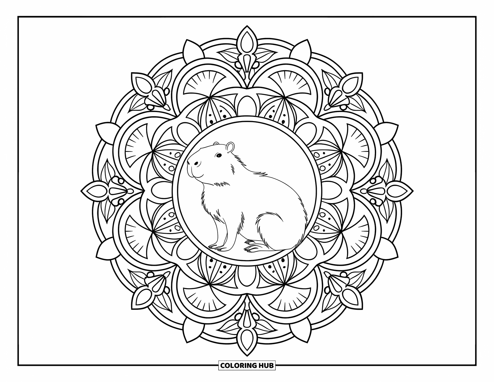Capybara Coloring Page for Adults: Capybara rests inside a fruit mandala filled with sliced berries and citrus shapes