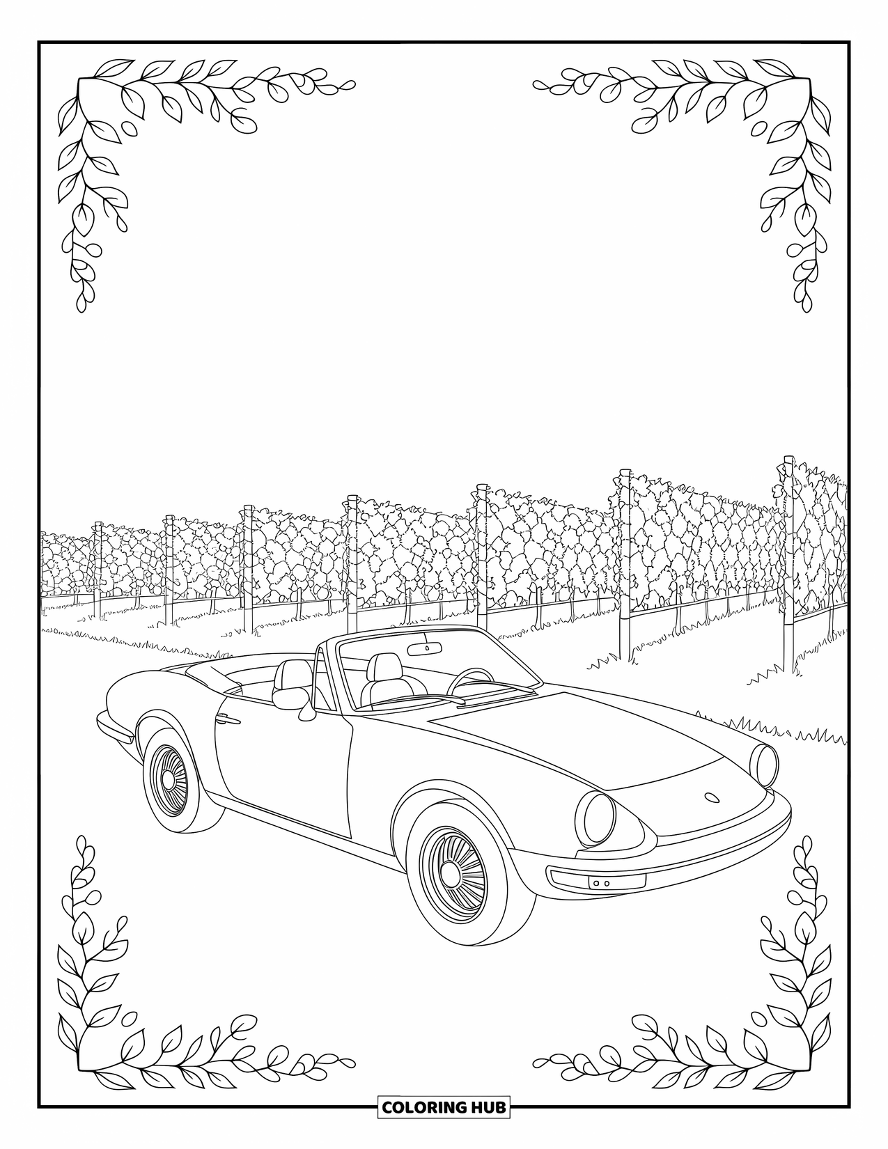 Car Coloring Page for Adults: A convertible parked on a vineyard path surrounded by stretching grapevine rows