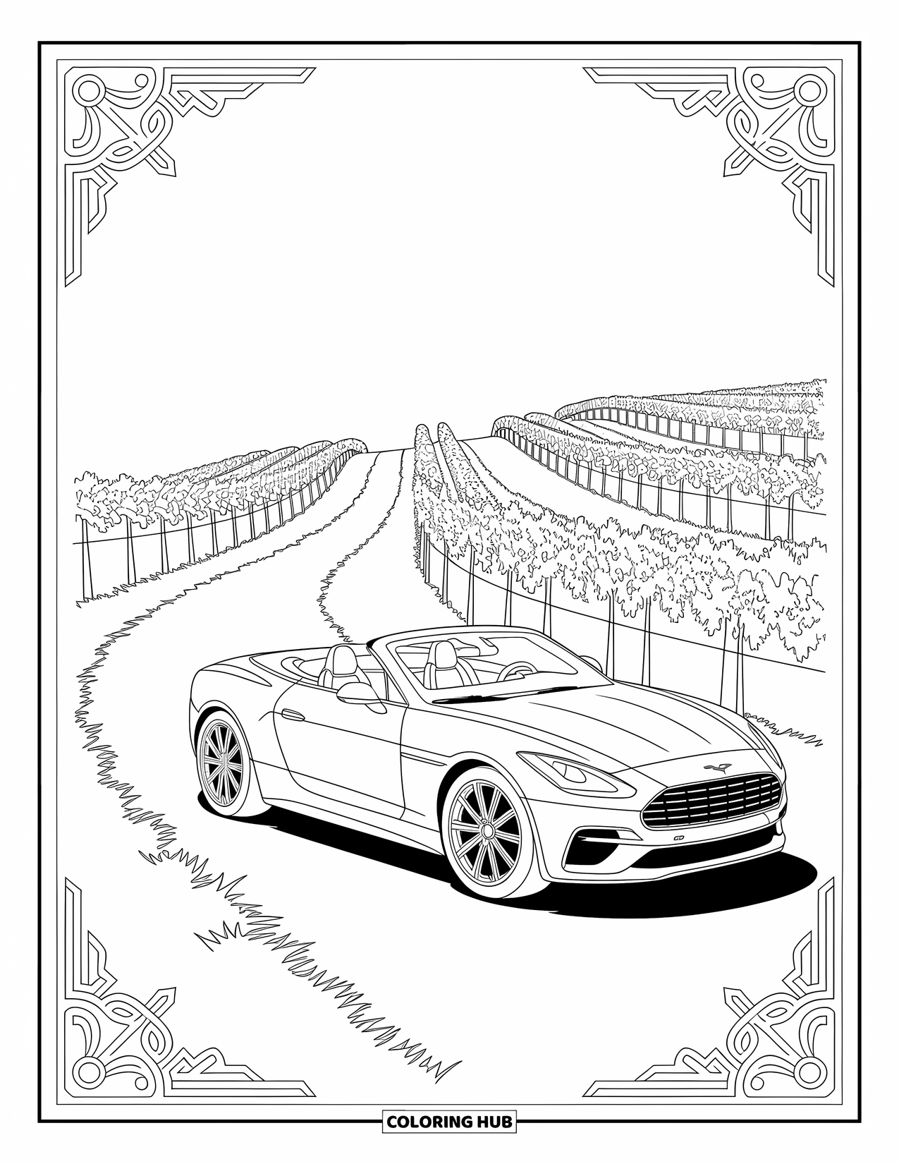 Car Coloring Page for Adults: A stylish convertible parked near grapevines along a quiet vineyard trail