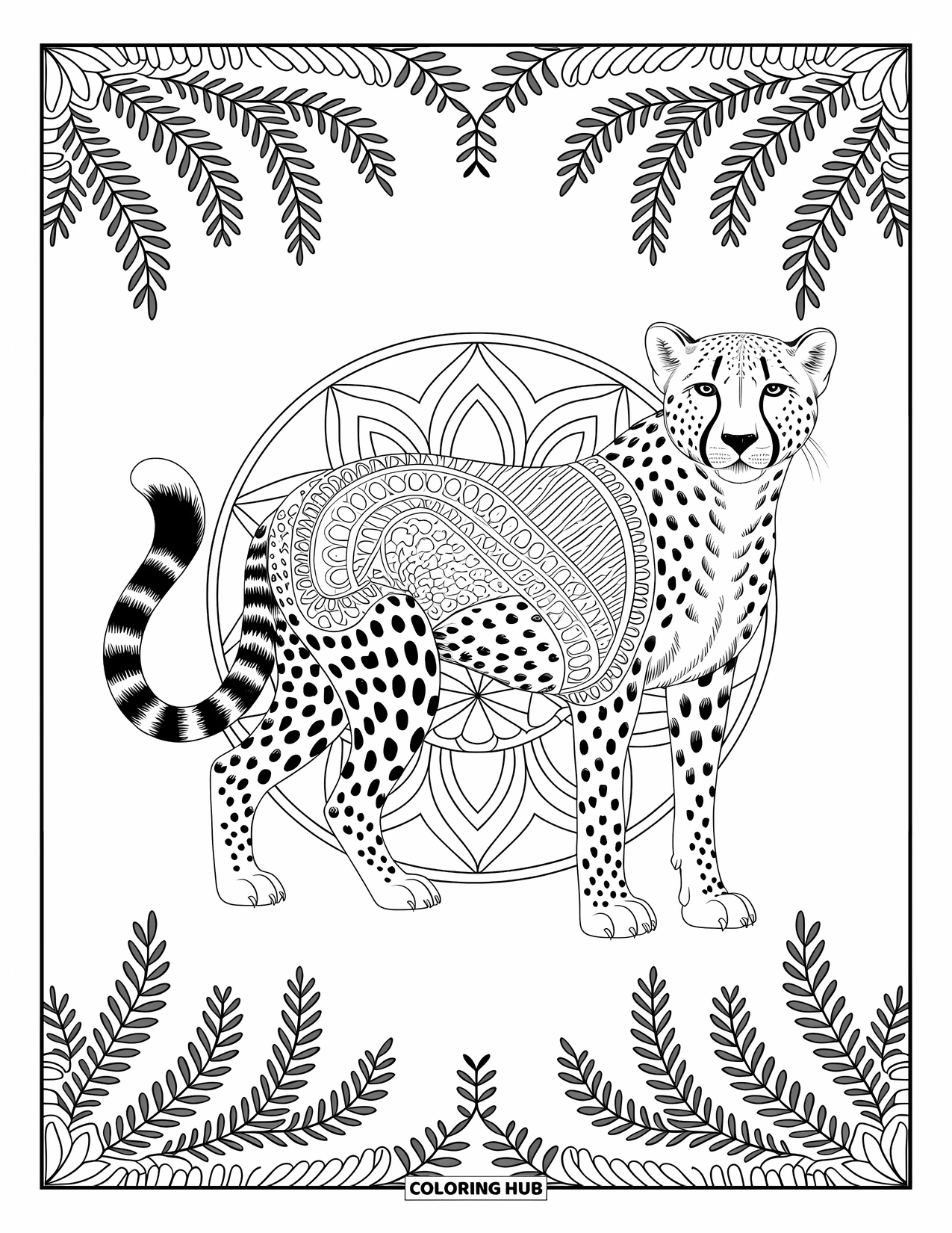 Disegno di ghepardo da colorare per adulti: Un ghepardo è avvolto in mandala dettagliati e viti, ambientato in una scena pulita ed elegante