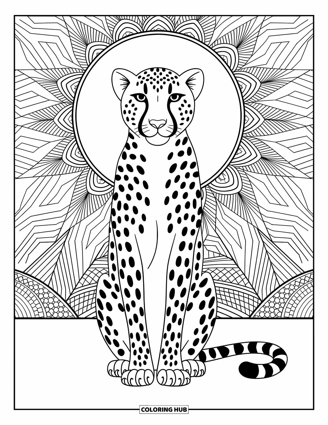 Disegno di ghepardo da colorare per adulti: Un ghepardo tranquillo siede con un alone di linee zentangle e intricati motivi circostanti