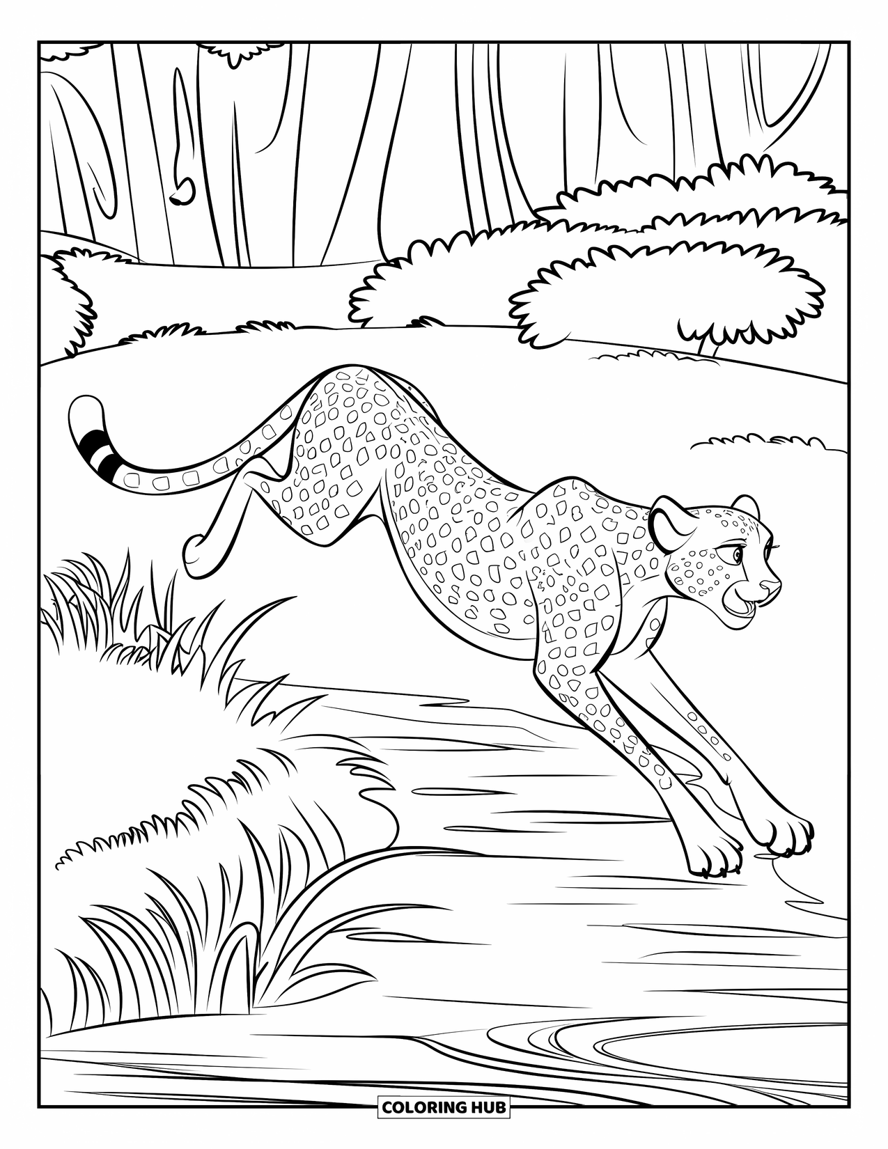 Disegni di ghepardi da colorare per bambini: Un ghepardo ansimante salta un ruscello delimitato da acqua calma e piante forestali