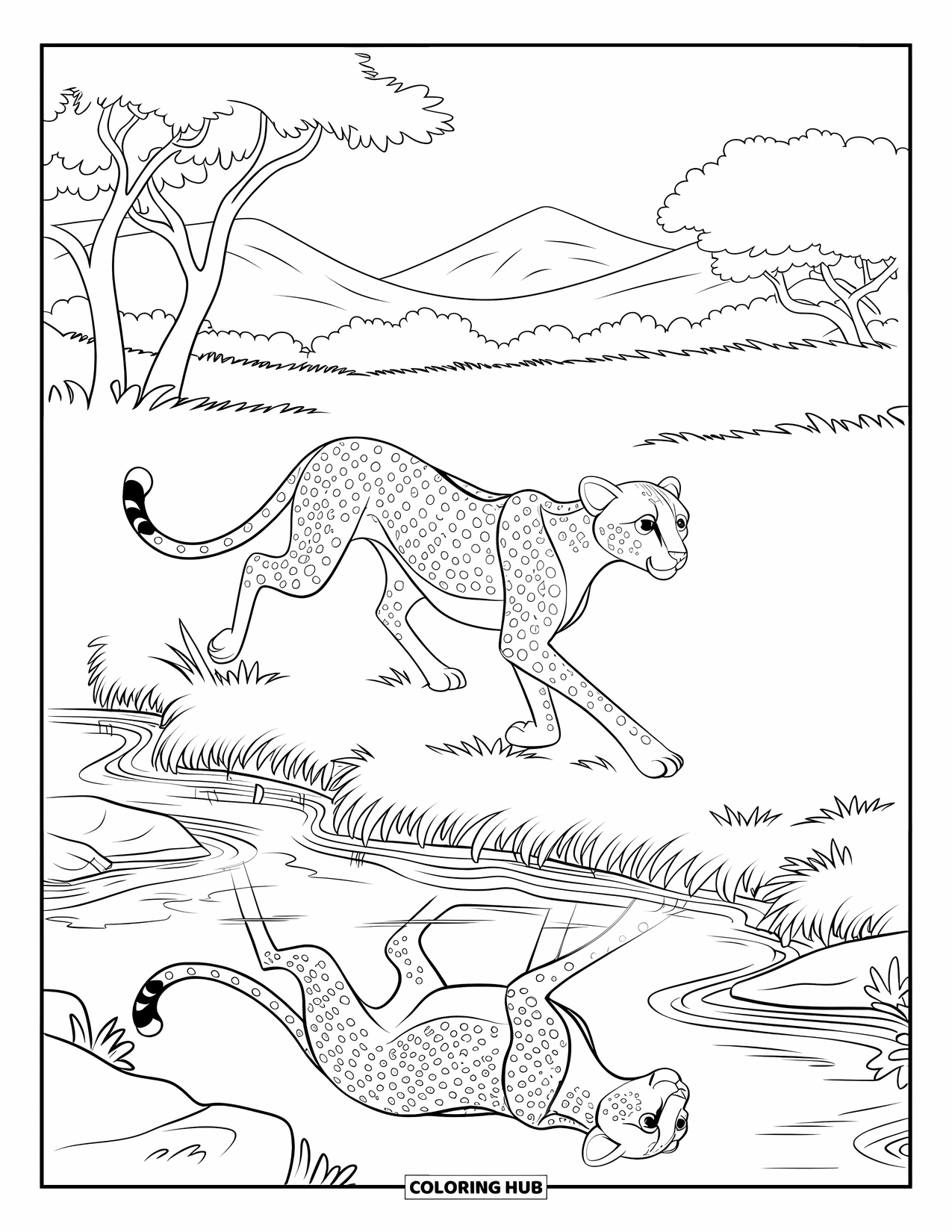 Disegno di ghepardo da colorare per bambini: Un ghepardo in corsa scatta oltre un ruscello, il suo riflesso scintilla nell'acqua calma